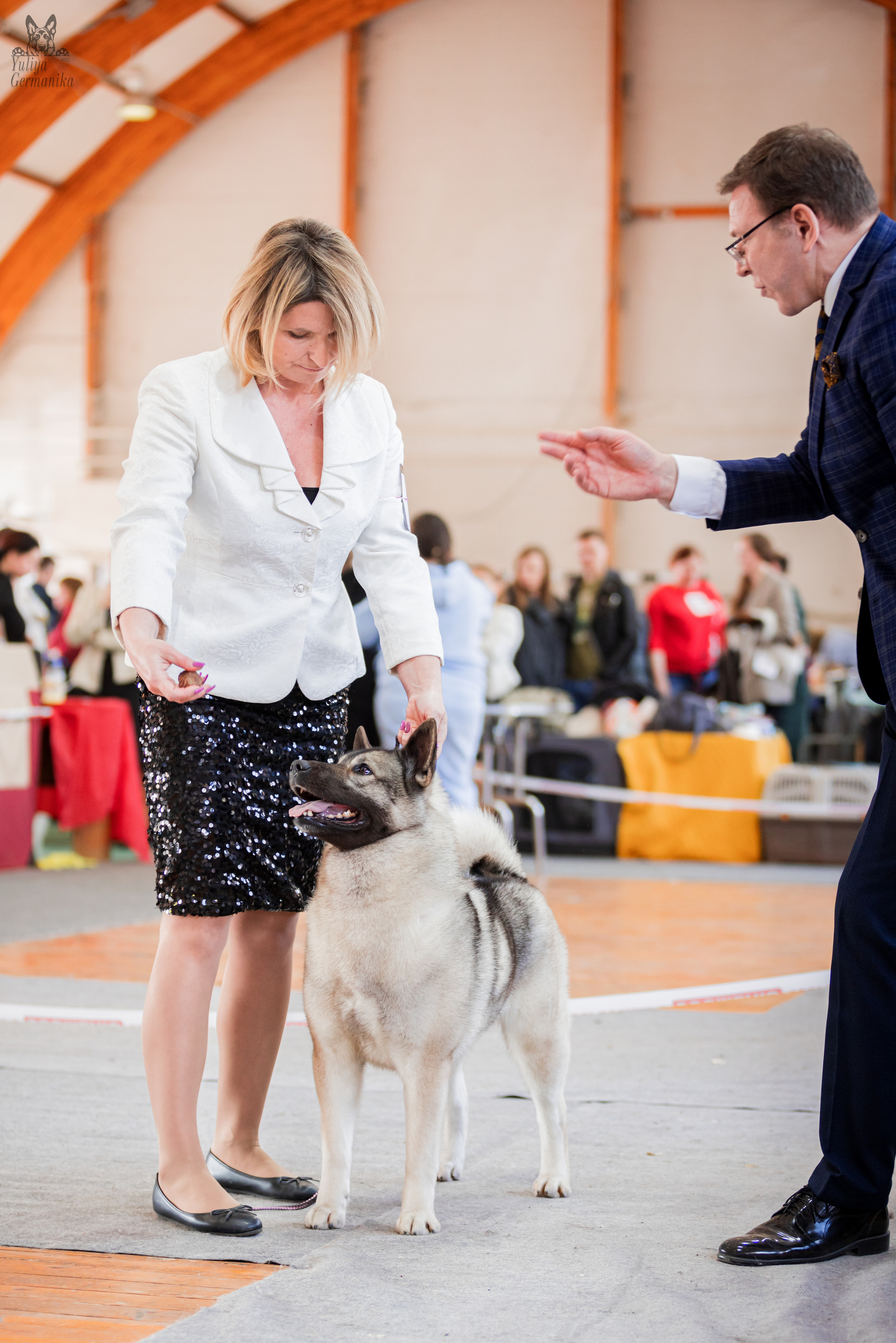 Тверь 01.04.2023. Фотограф-анималист Юлия Германика