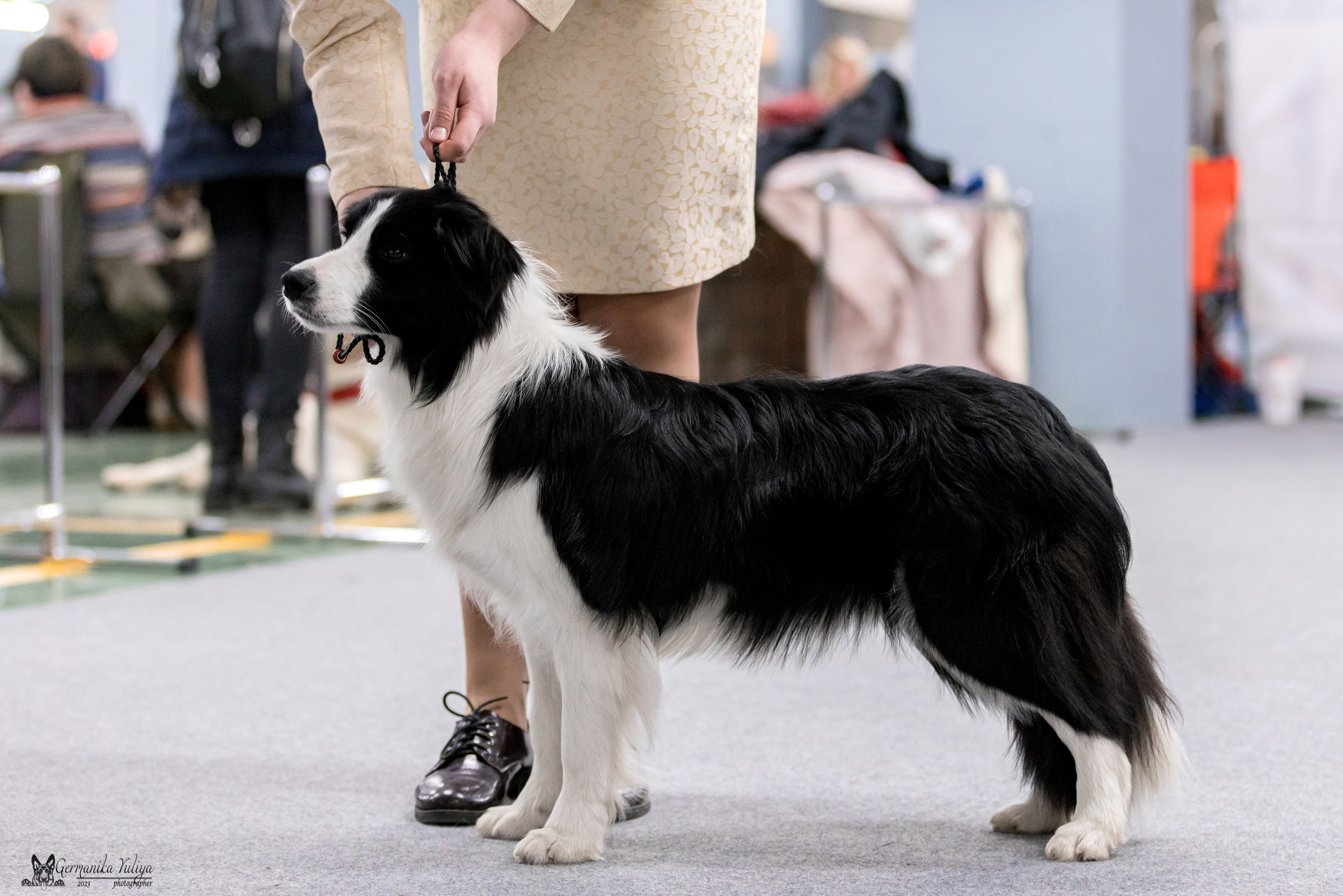 Сфера+МД 8-9.04.2023. Фотограф-анималист Юлия Германика