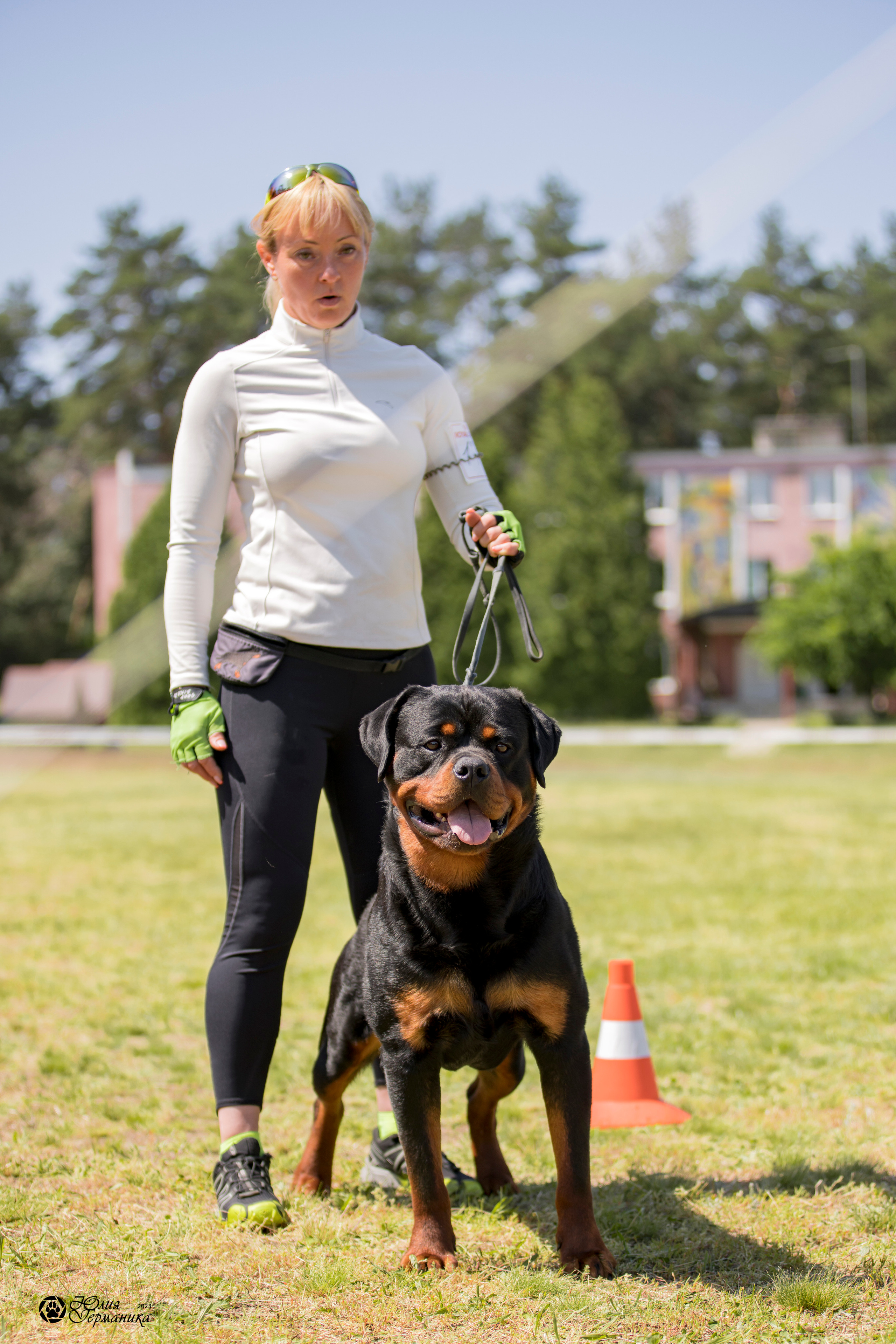 Воронеж 2хмоно ротвейлеров 3-4.06.2023. Фотограф-анималист Юлия Германика
