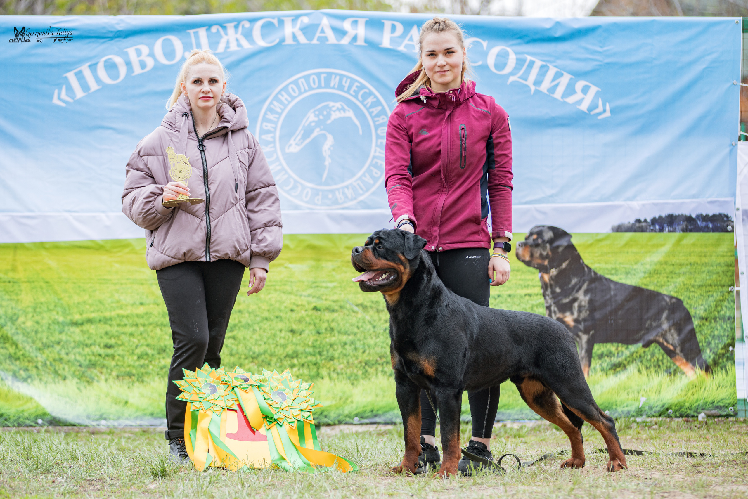 Саратов 2хмоно ротвейлеров 22-23.04.2023. Фотограф-анималист Юлия Германика