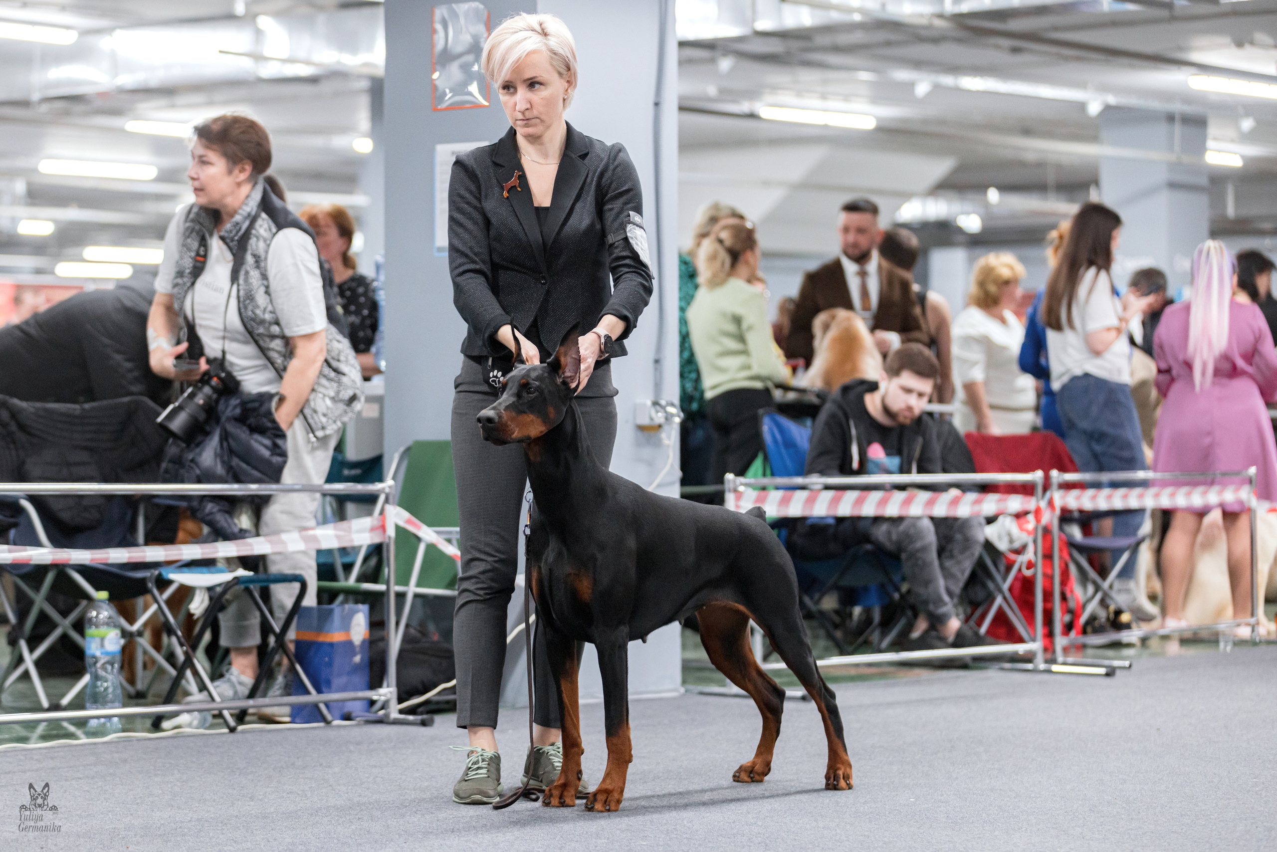 Сфера+доберманы 02.04.2023. Фотограф-анималист Юлия Германика