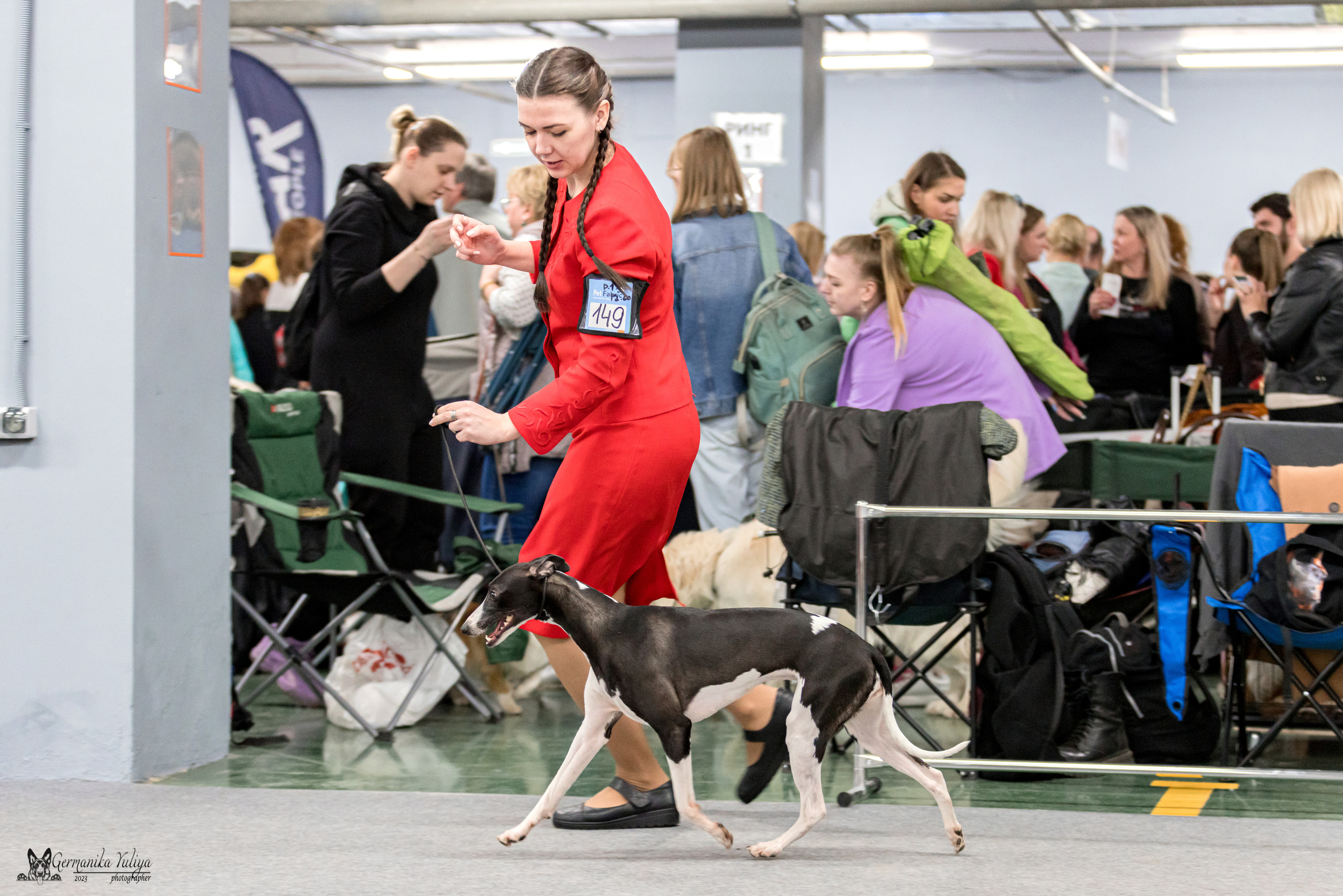 Сфера+МД 8-9.04.2023. Фотограф-анималист Юлия Германика