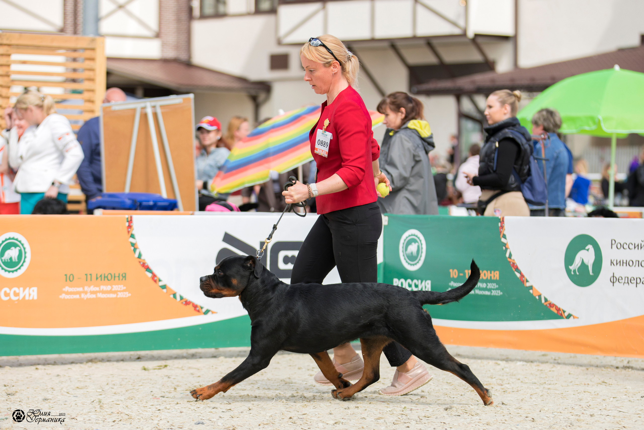 Россия 10-11.06.2023. Фотограф-анималист Юлия Германика
