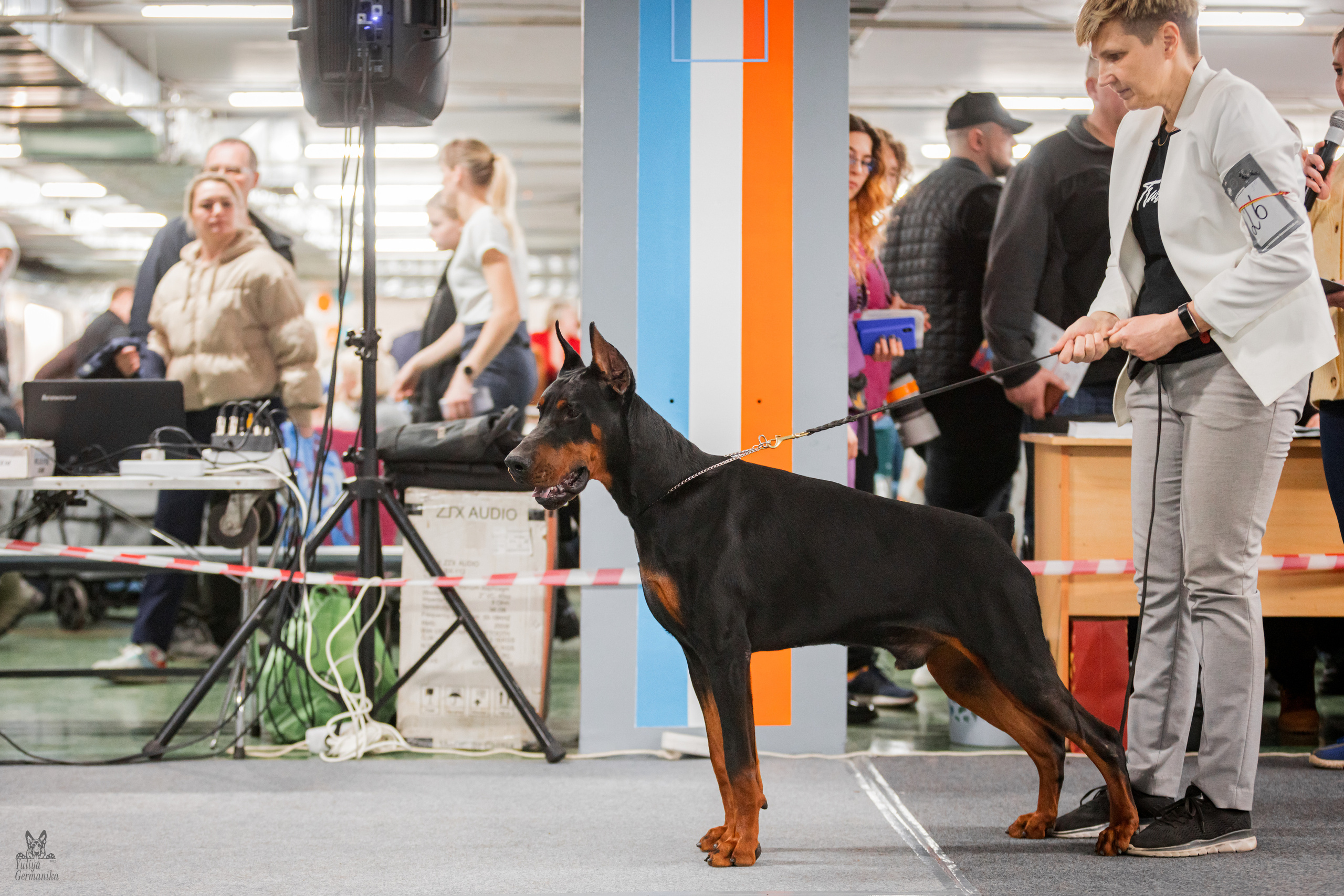 Сфера+доберманы 02.04.2023. Фотограф-анималист Юлия Германика