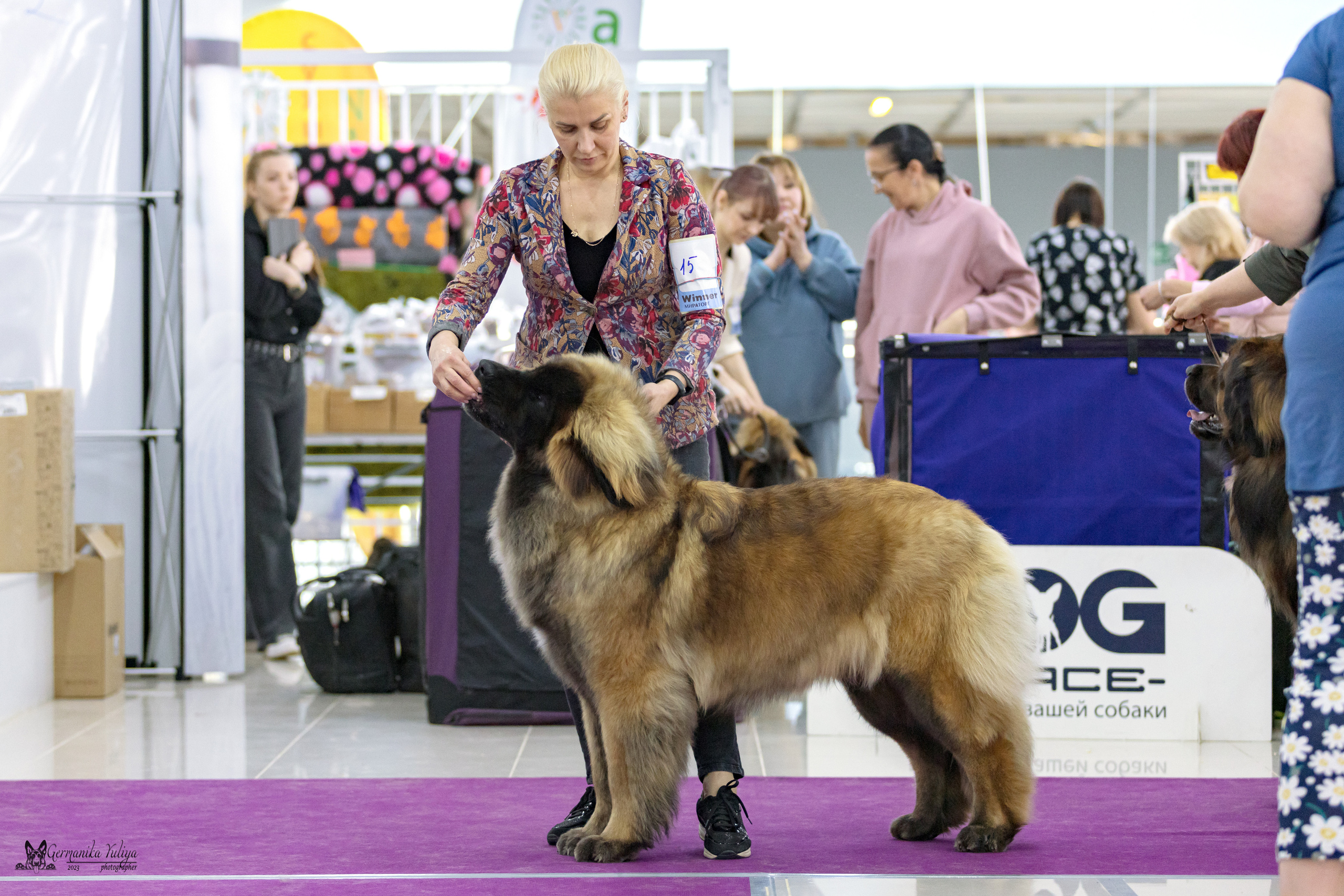 МД 15.04.2023. Фотограф-анималист Юлия Германика