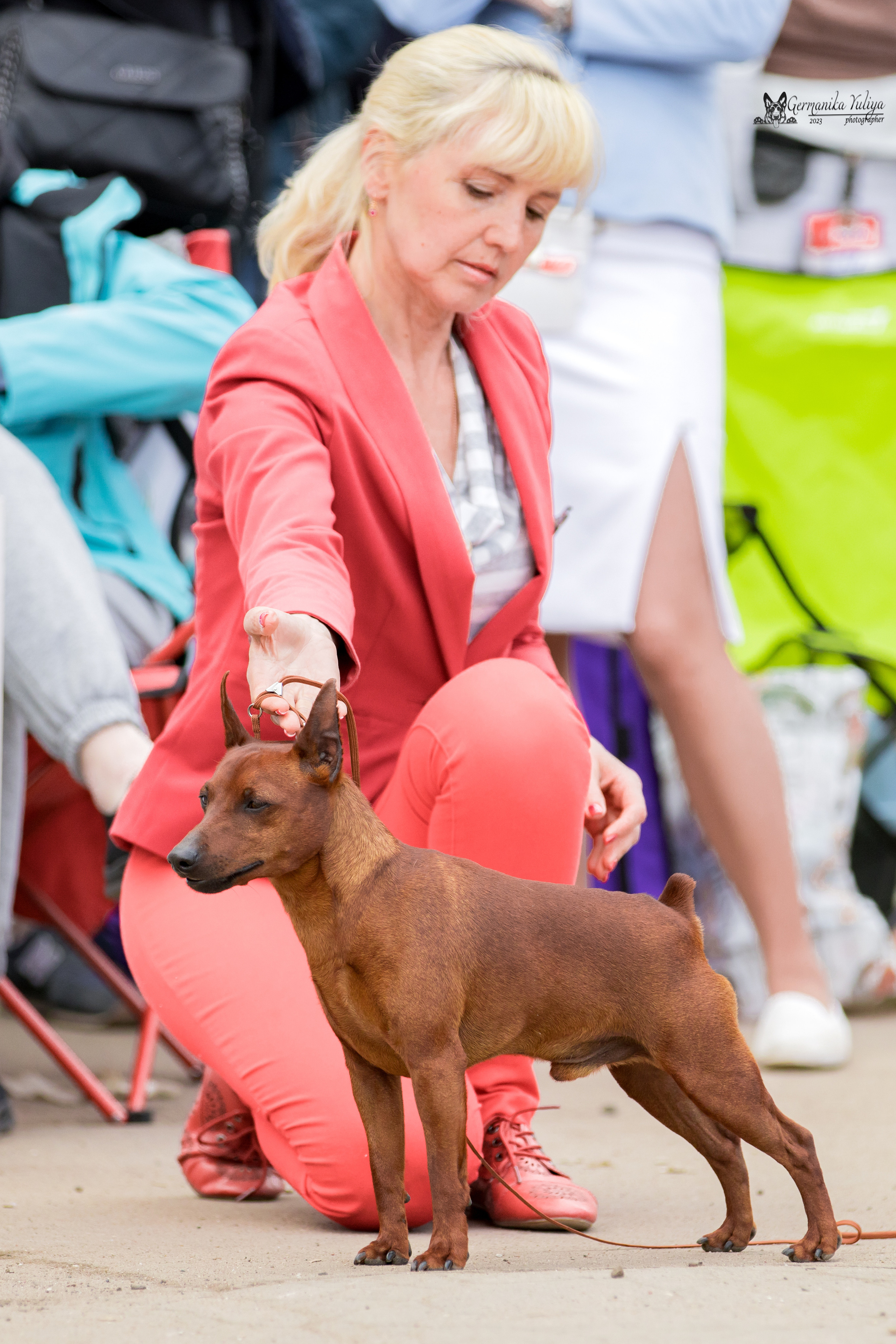 Измайлово 21.05.2023. Фотограф-анималист Юлия Германика