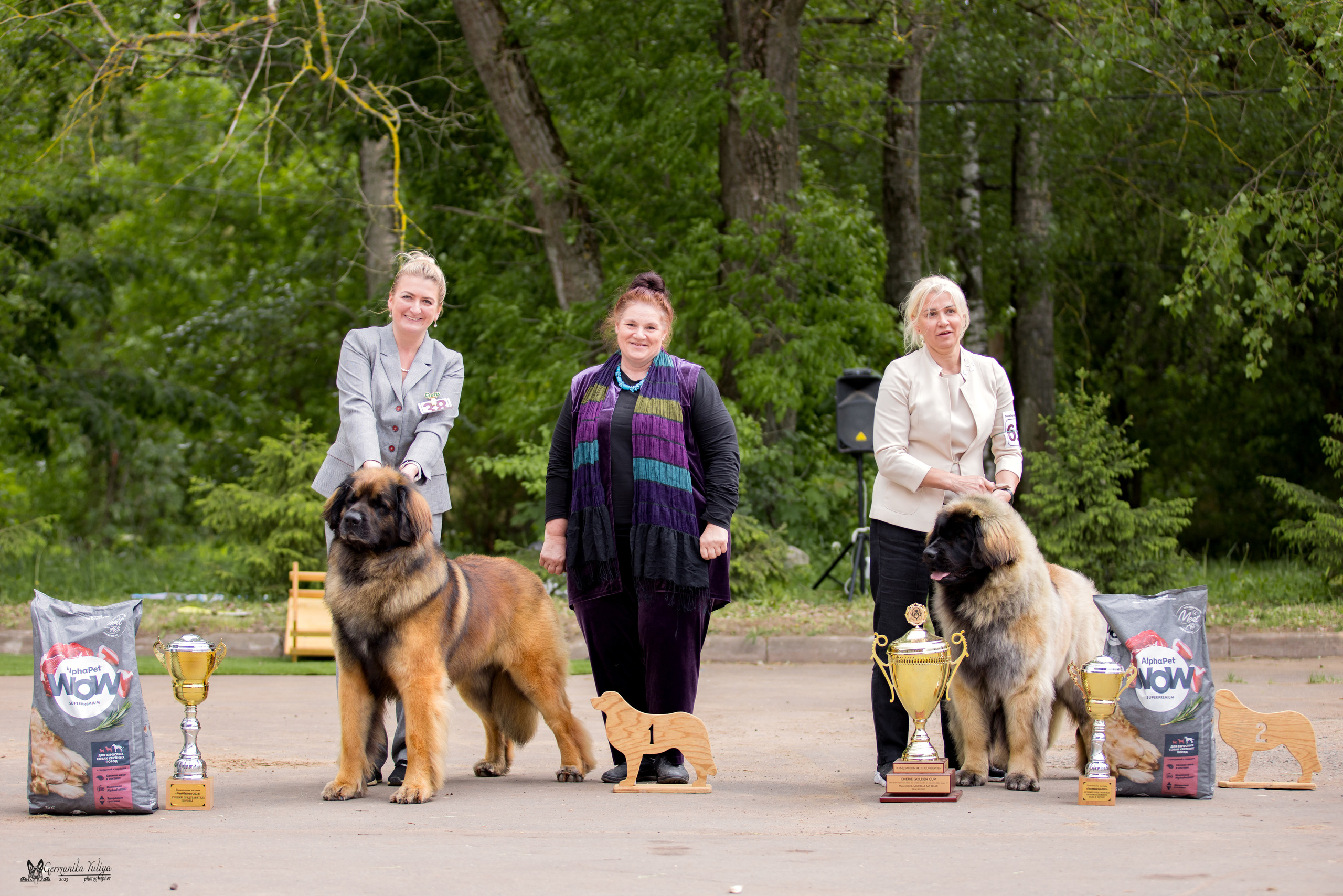 Националка Леонбергеров 28.05.2023. Фотограф-анималист Юлия Германика