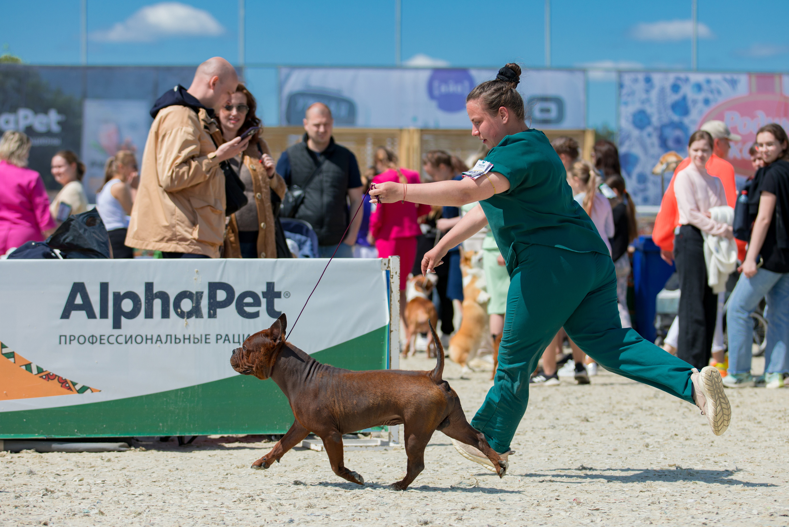 Россия 10-11.06.2023. Фотограф-анималист Юлия Германика
