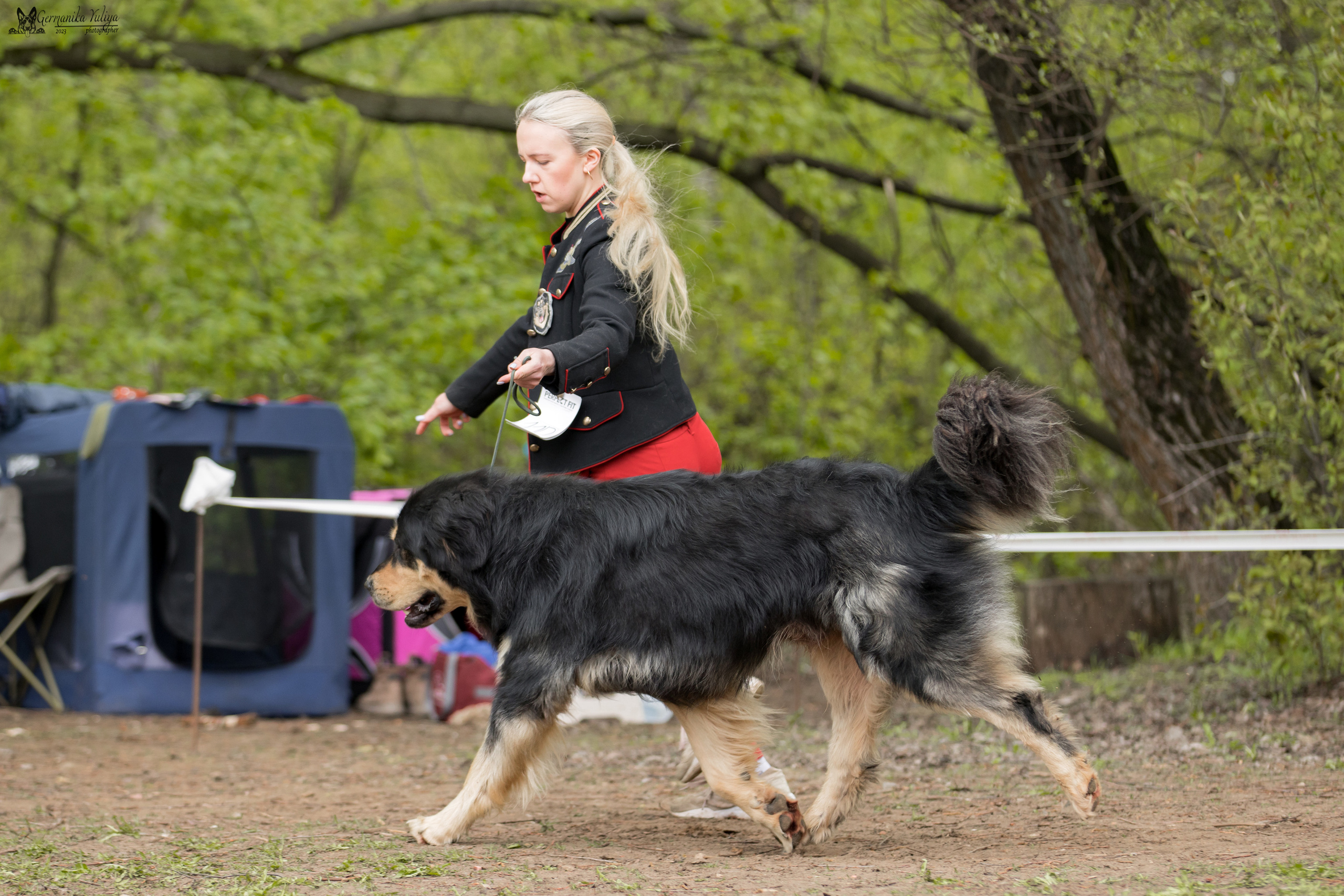 Сокольники 1.05.2023. Фотограф-анималист Юлия Германика