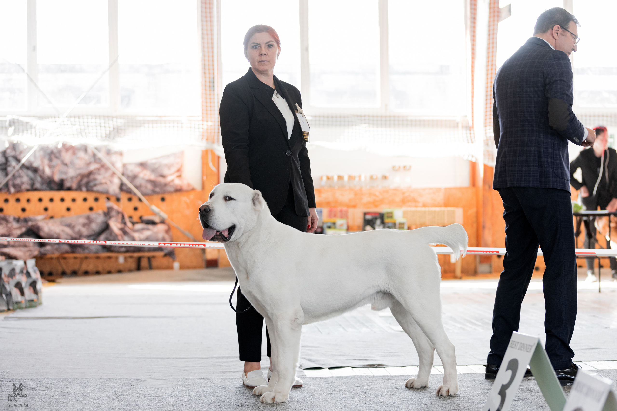 Тверь 01.04.2023. Фотограф-анималист Юлия Германика