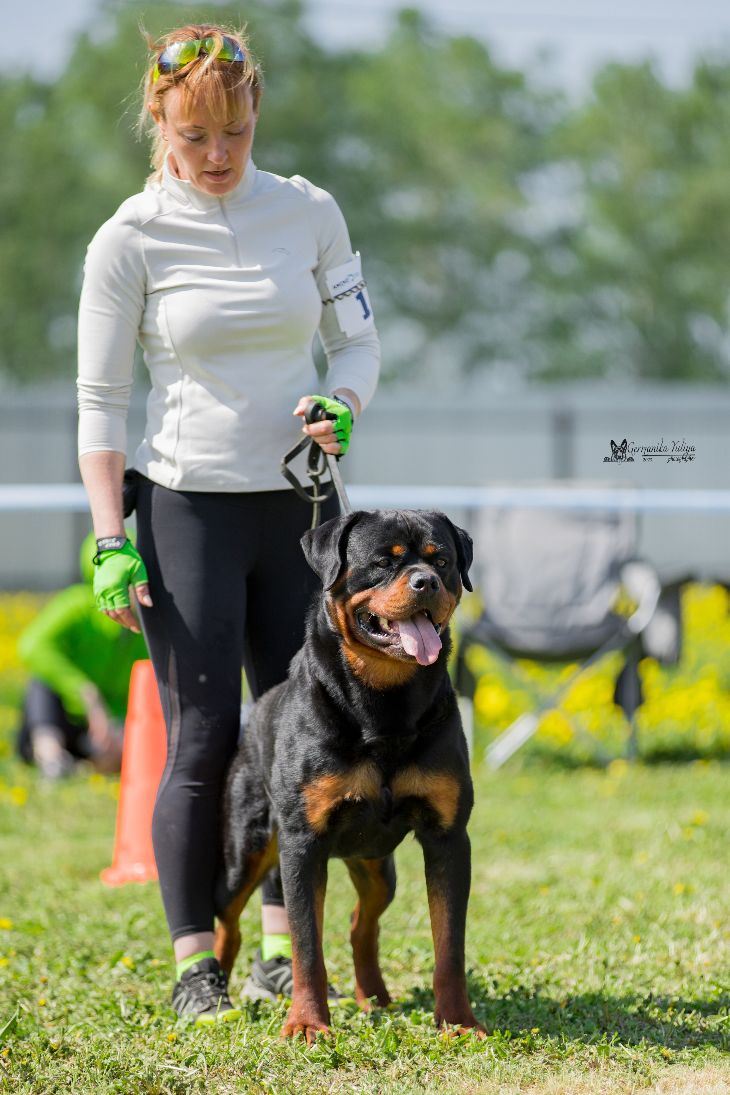 Нижний Новгород моно ротвейлеров 13.05.2023. Фотограф-анималист Юлия Германика