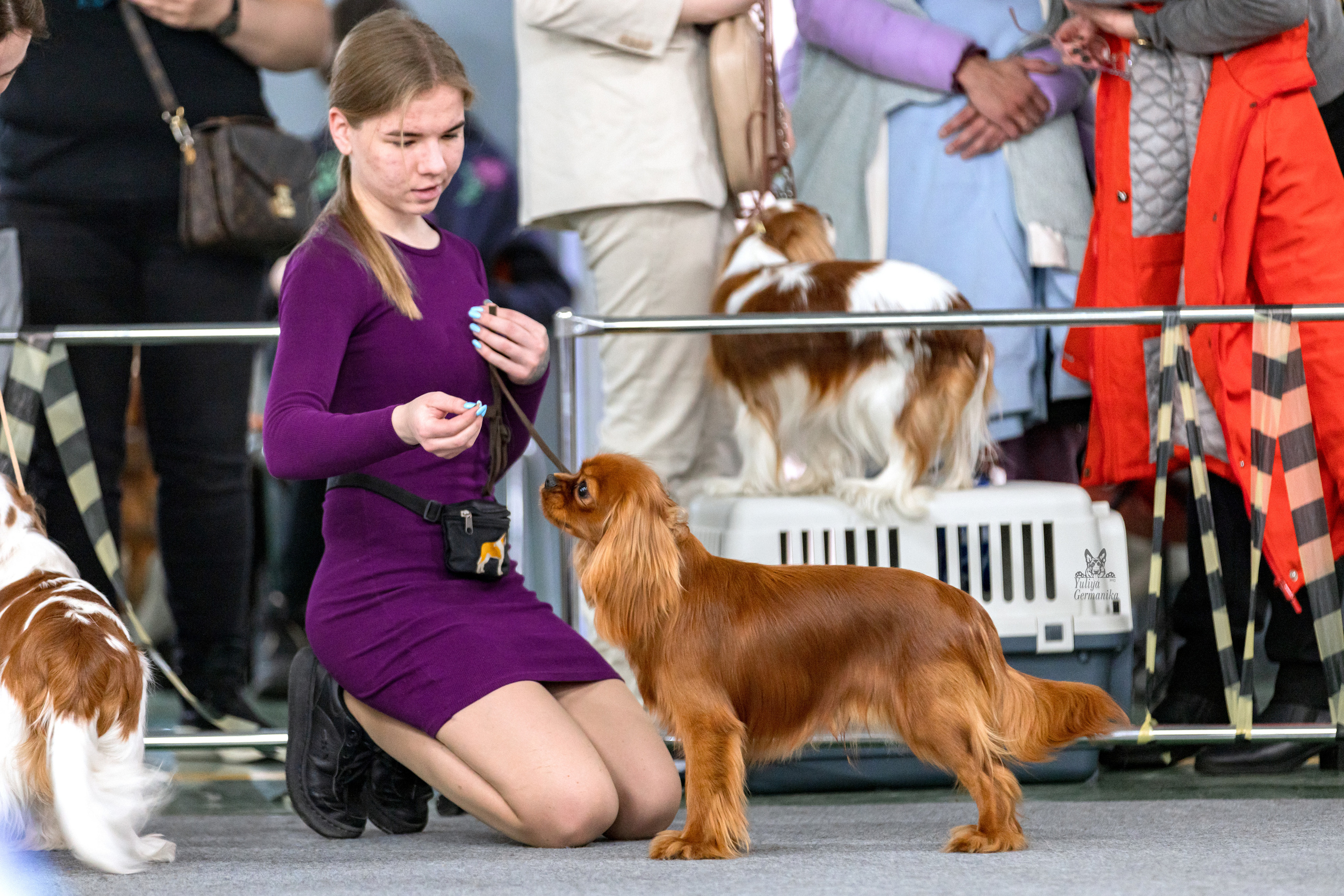 Сфера 25-26.03.2023. Фотограф-анималист Юлия Германика