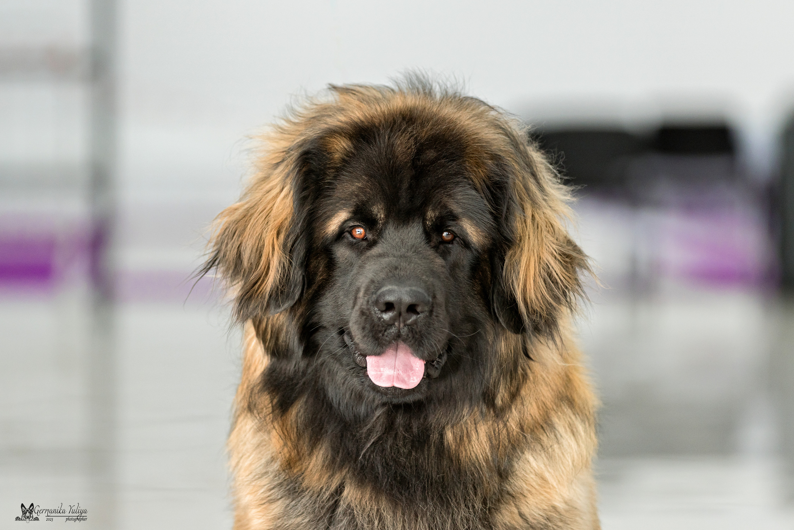 МД 15.04.2023. Фотограф-анималист Юлия Германика