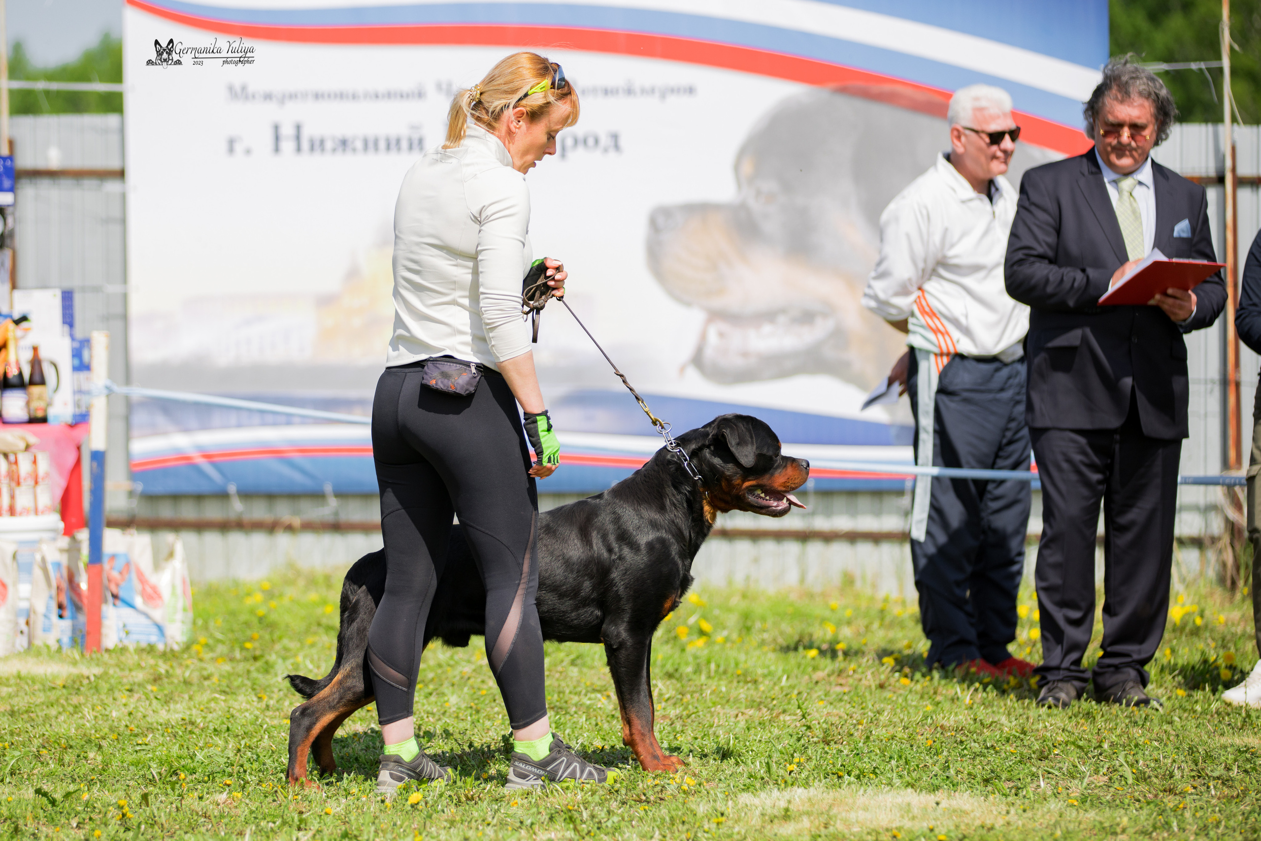 Нижний Новгород моно ротвейлеров 13.05.2023. Фотограф-анималист Юлия Германика
