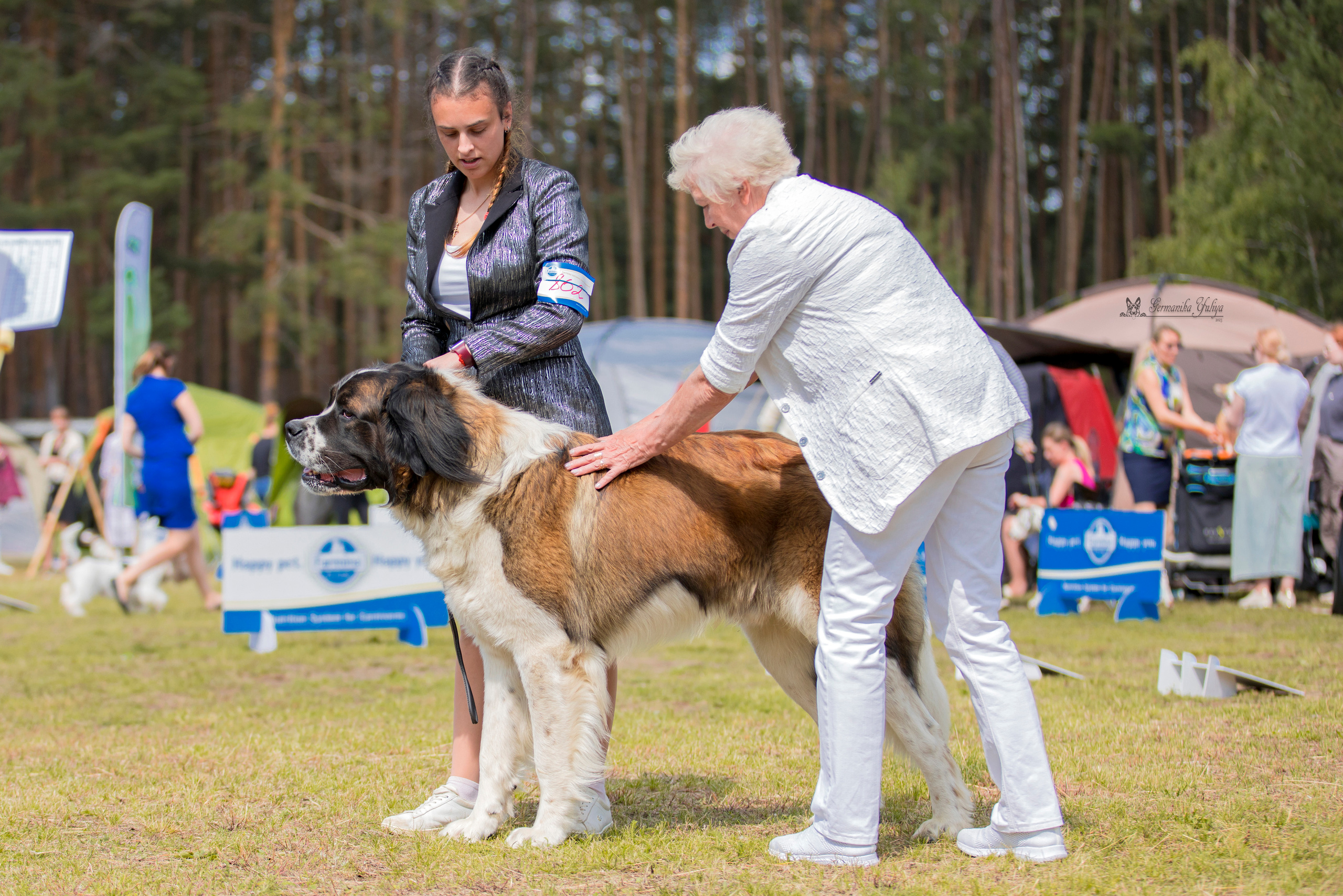 Владимир 1-2.07.2023. Фотограф-анималист Юлия Германика