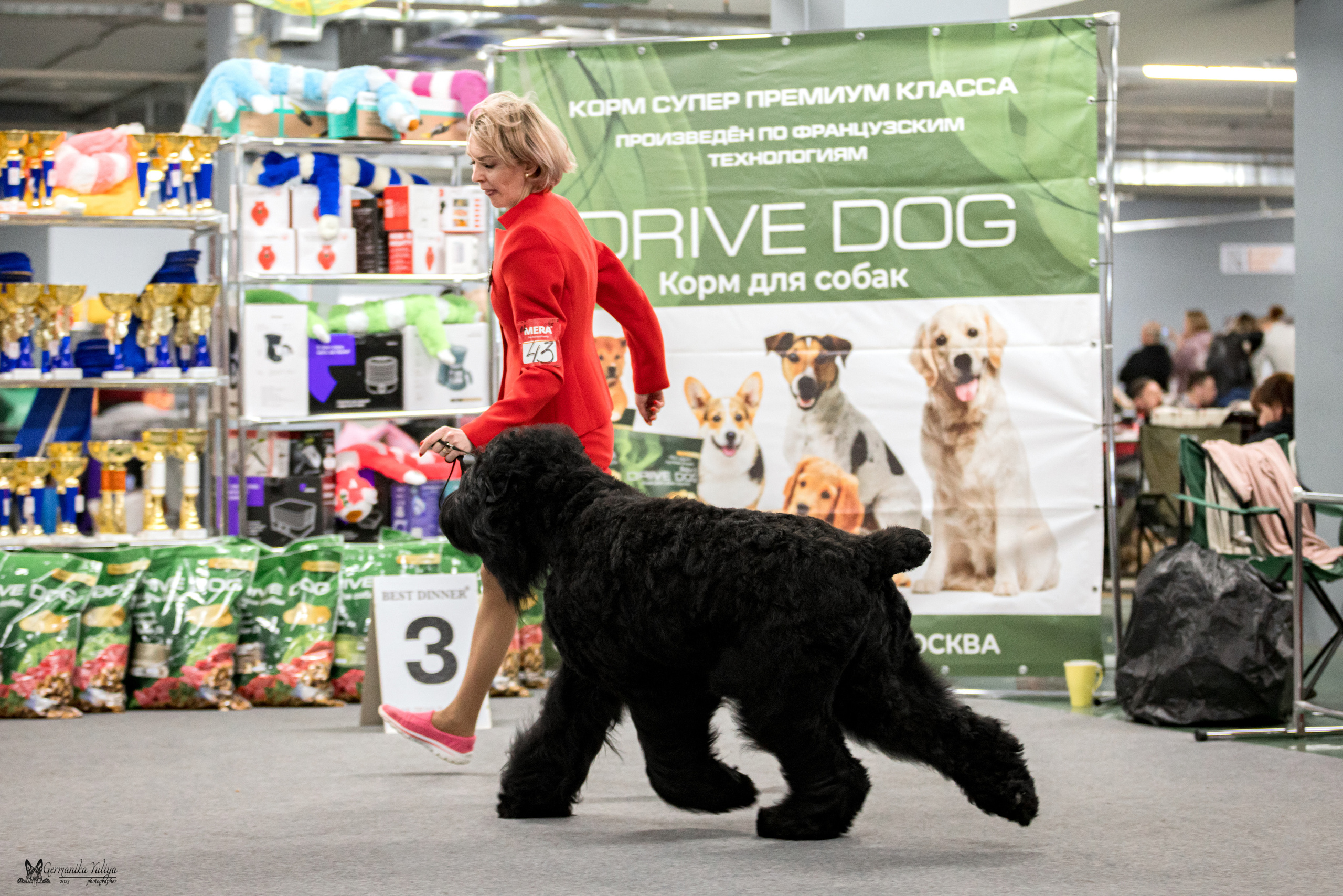 Сфера+МД 8-9.04.2023. Фотограф-анималист Юлия Германика
