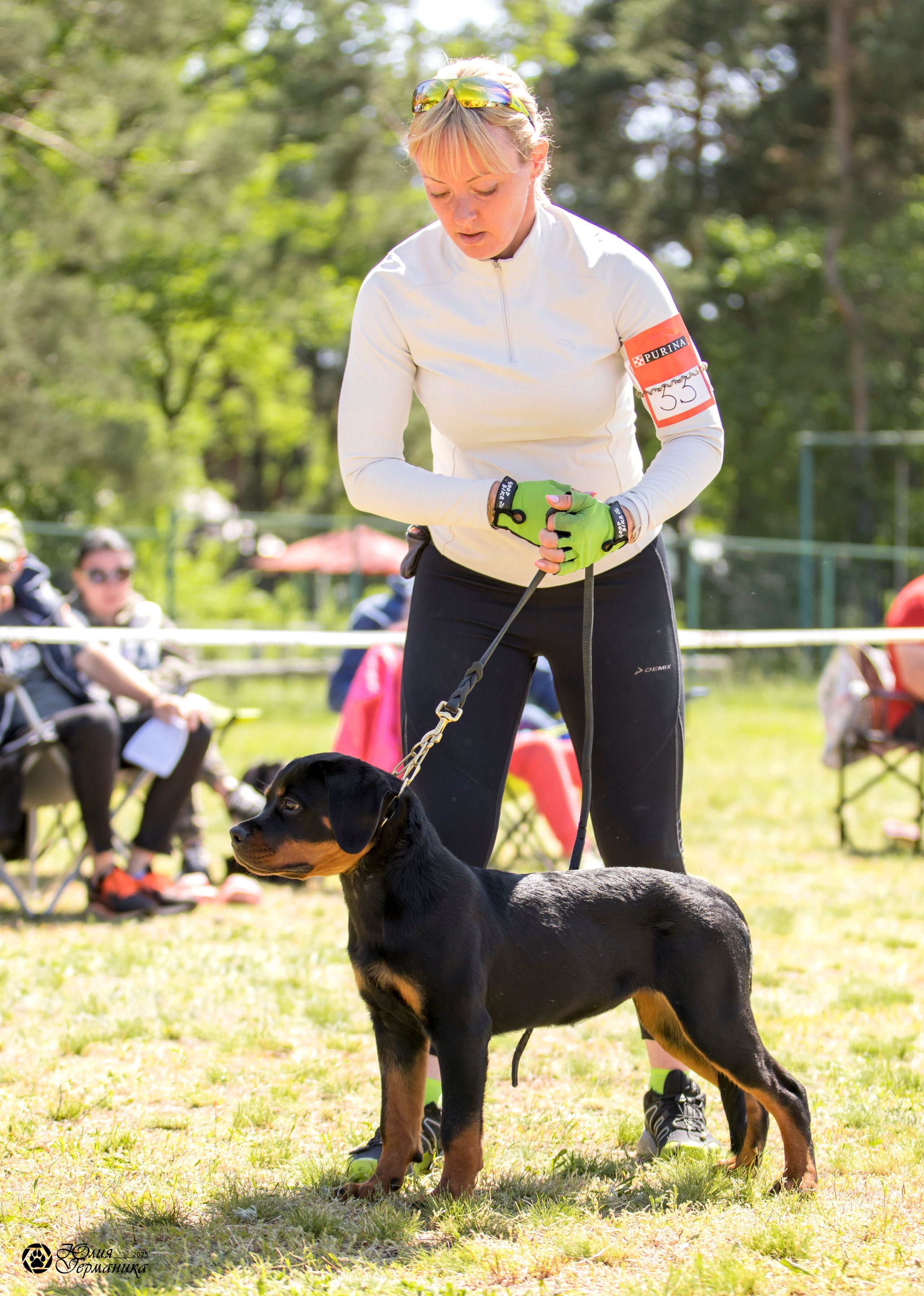 Воронеж 2хмоно ротвейлеров 3-4.06.2023. Фотограф-анималист Юлия Германика