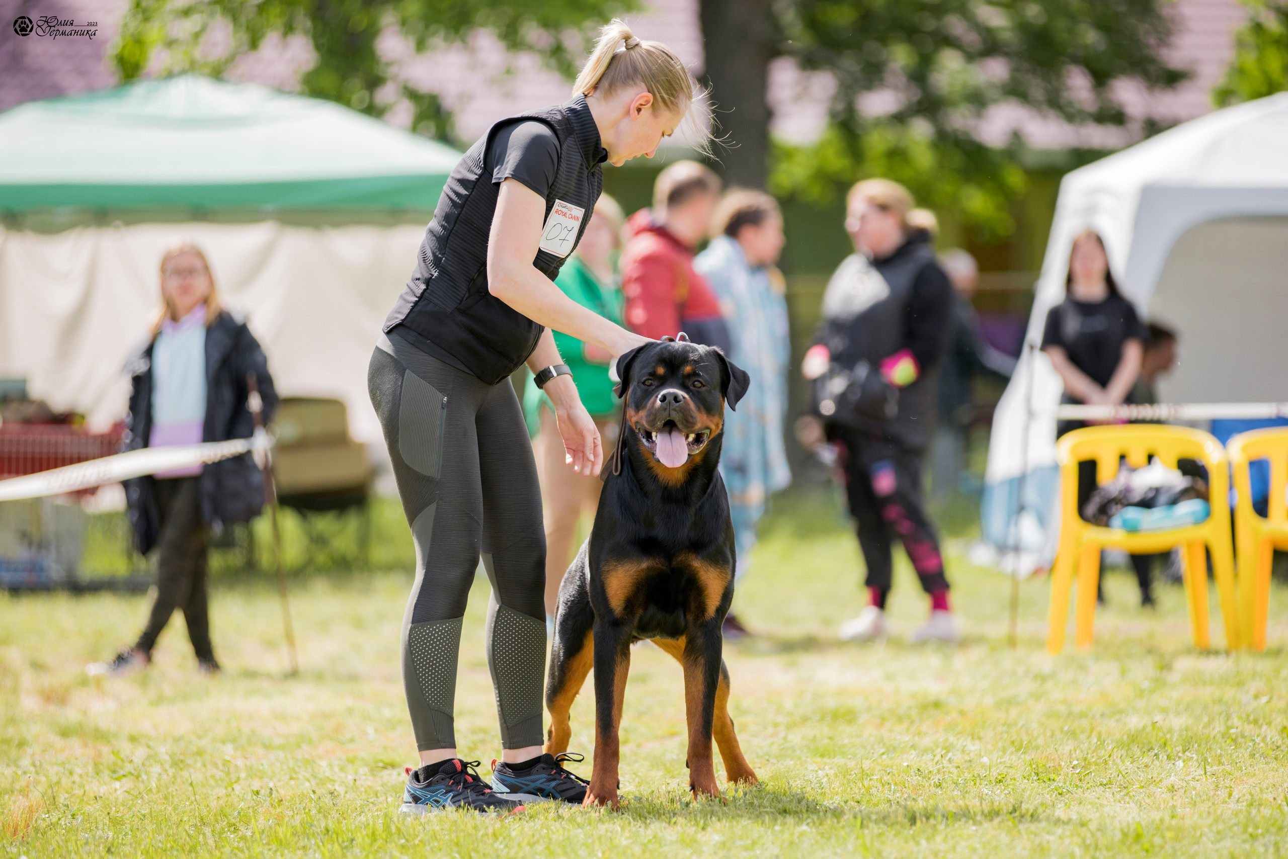 Воронеж 2хмоно ротвейлеров 3-4.06.2023. Фотограф-анималист Юлия Германика