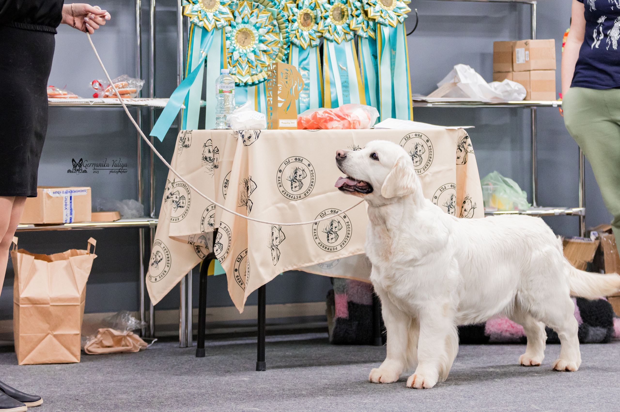 Сфера+МД 8-9.04.2023. Фотограф-анималист Юлия Германика