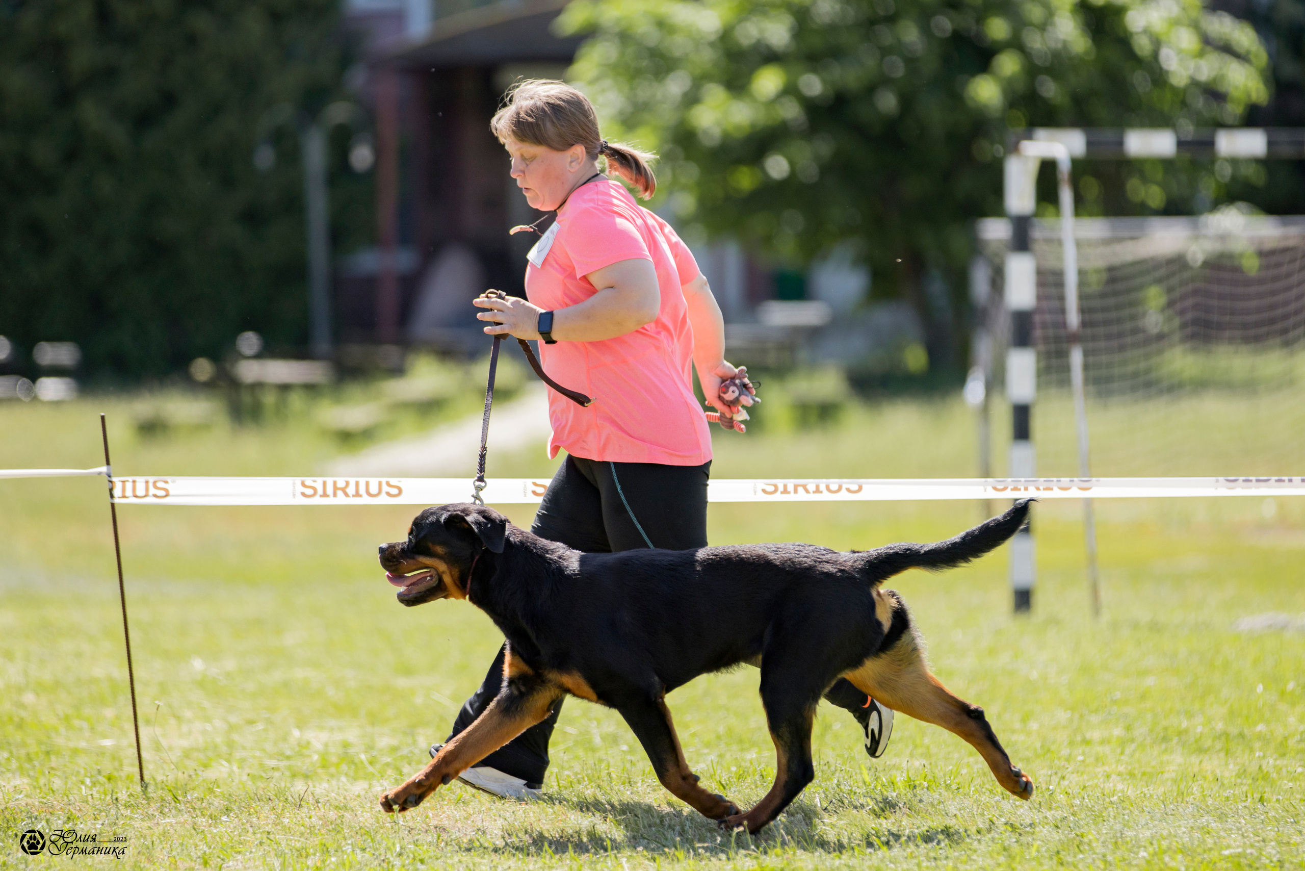 Воронеж 2хмоно ротвейлеров 3-4.06.2023. Фотограф-анималист Юлия Германика