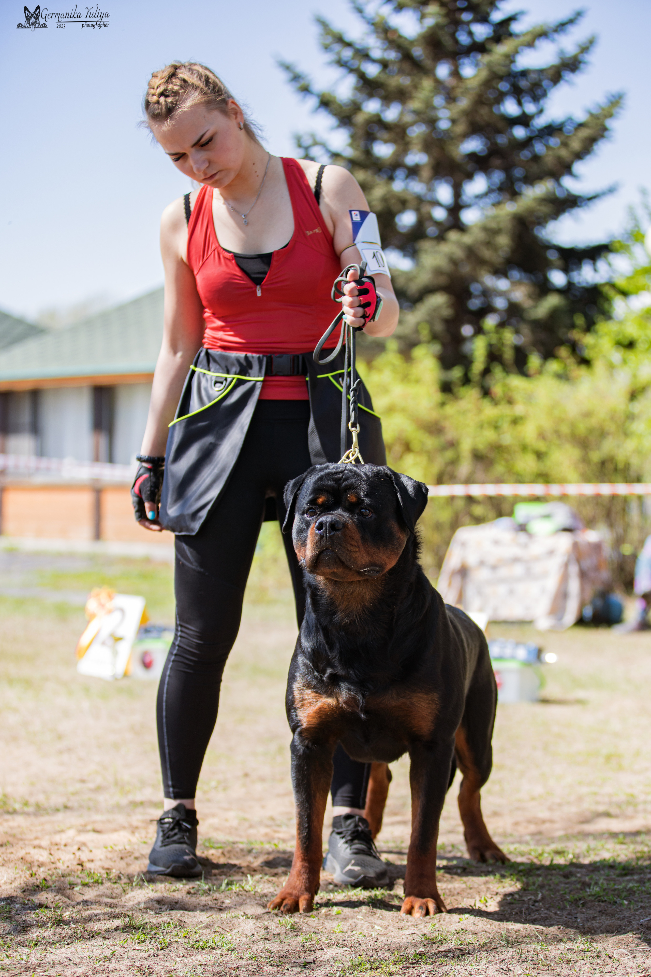 Саратов 2хмоно ротвейлеров 22-23.04.2023. Фотограф-анималист Юлия Германика