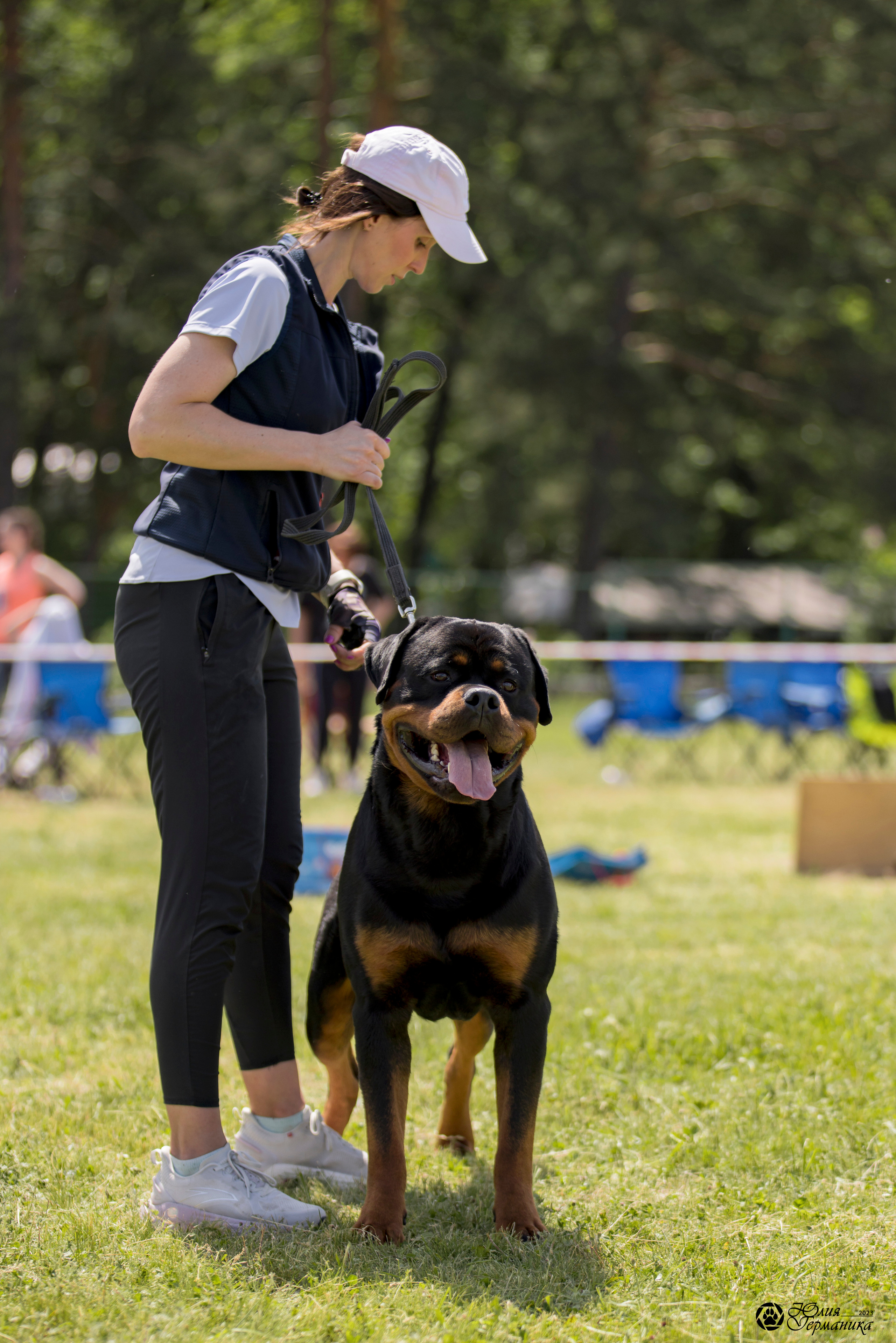 Воронеж 2хмоно ротвейлеров 3-4.06.2023. Фотограф-анималист Юлия Германика
