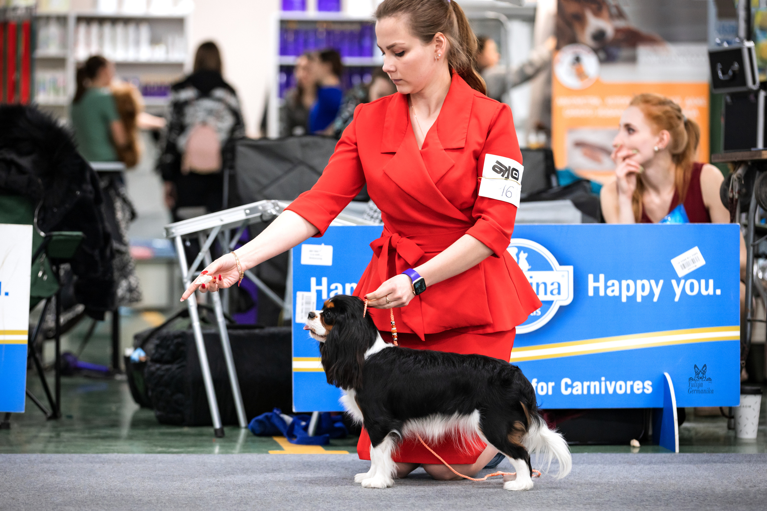 Сфера 25-26.03.2023. Фотограф-анималист Юлия Германика