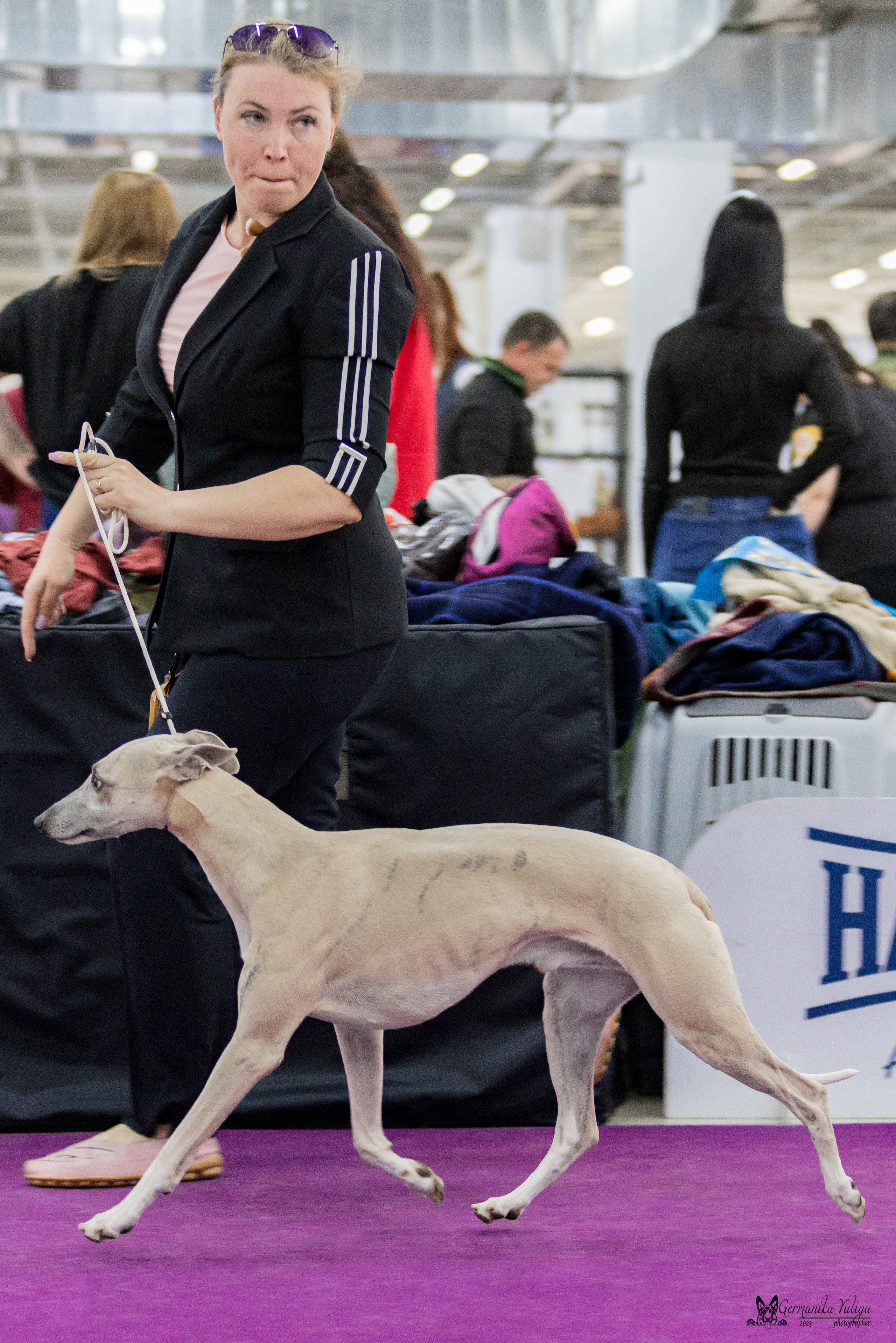 Сфера+МД 8-9.04.2023. Фотограф-анималист Юлия Германика