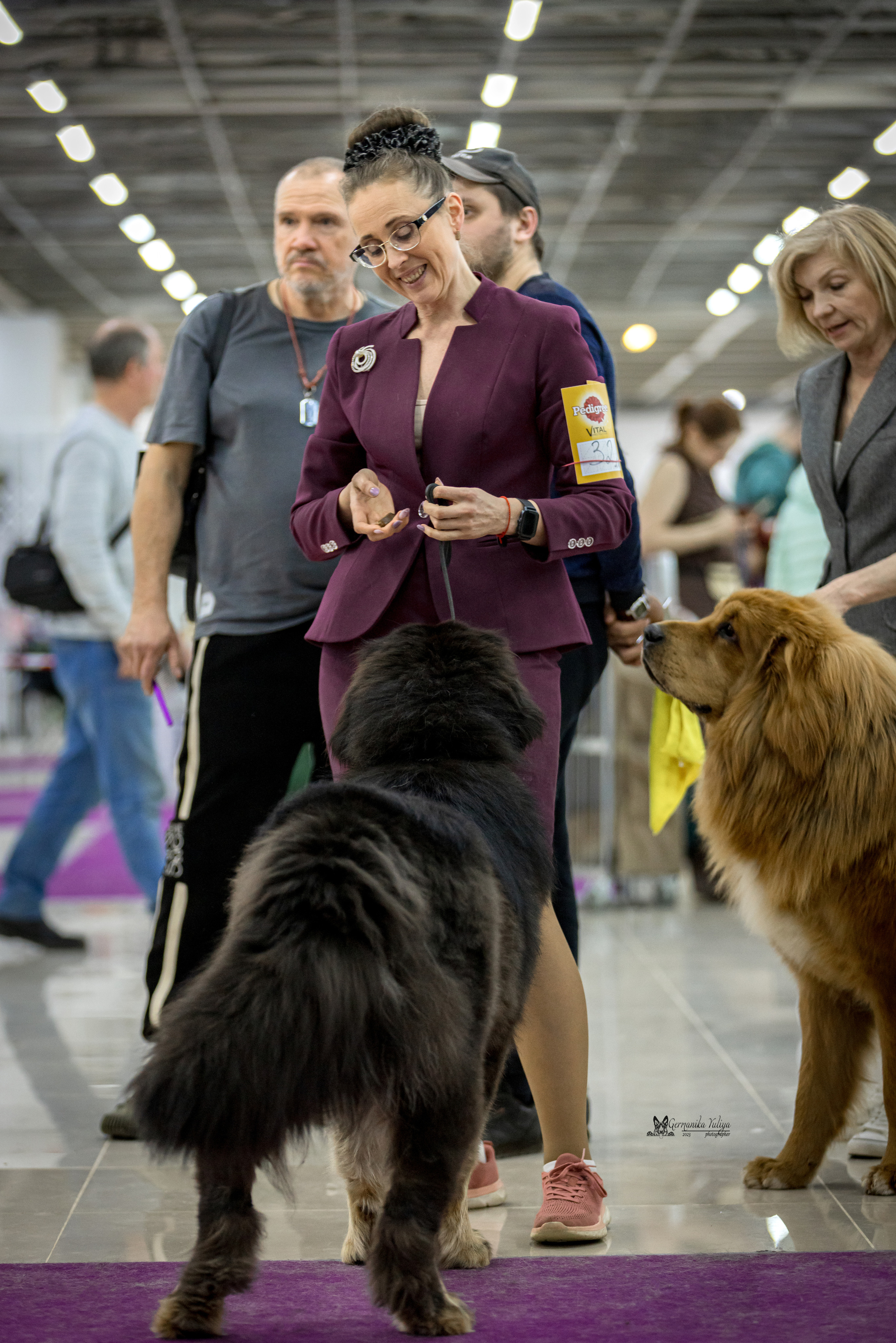 Сфера+МД 8-9.04.2023. Фотограф-анималист Юлия Германика