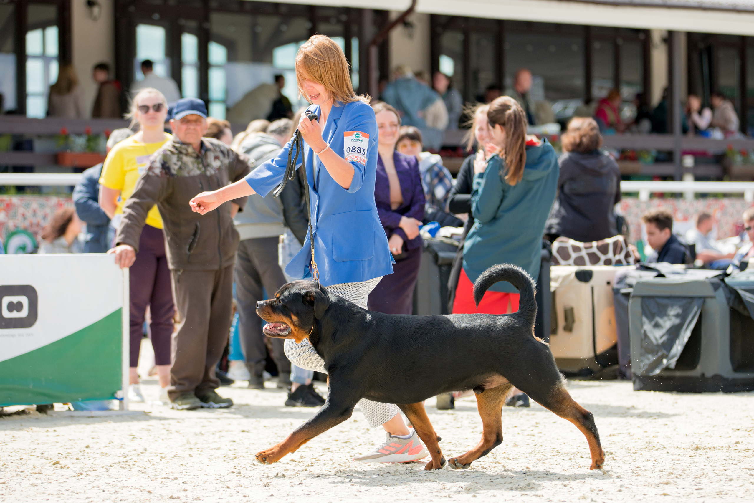 Россия 10-11.06.2023. Фотограф-анималист Юлия Германика