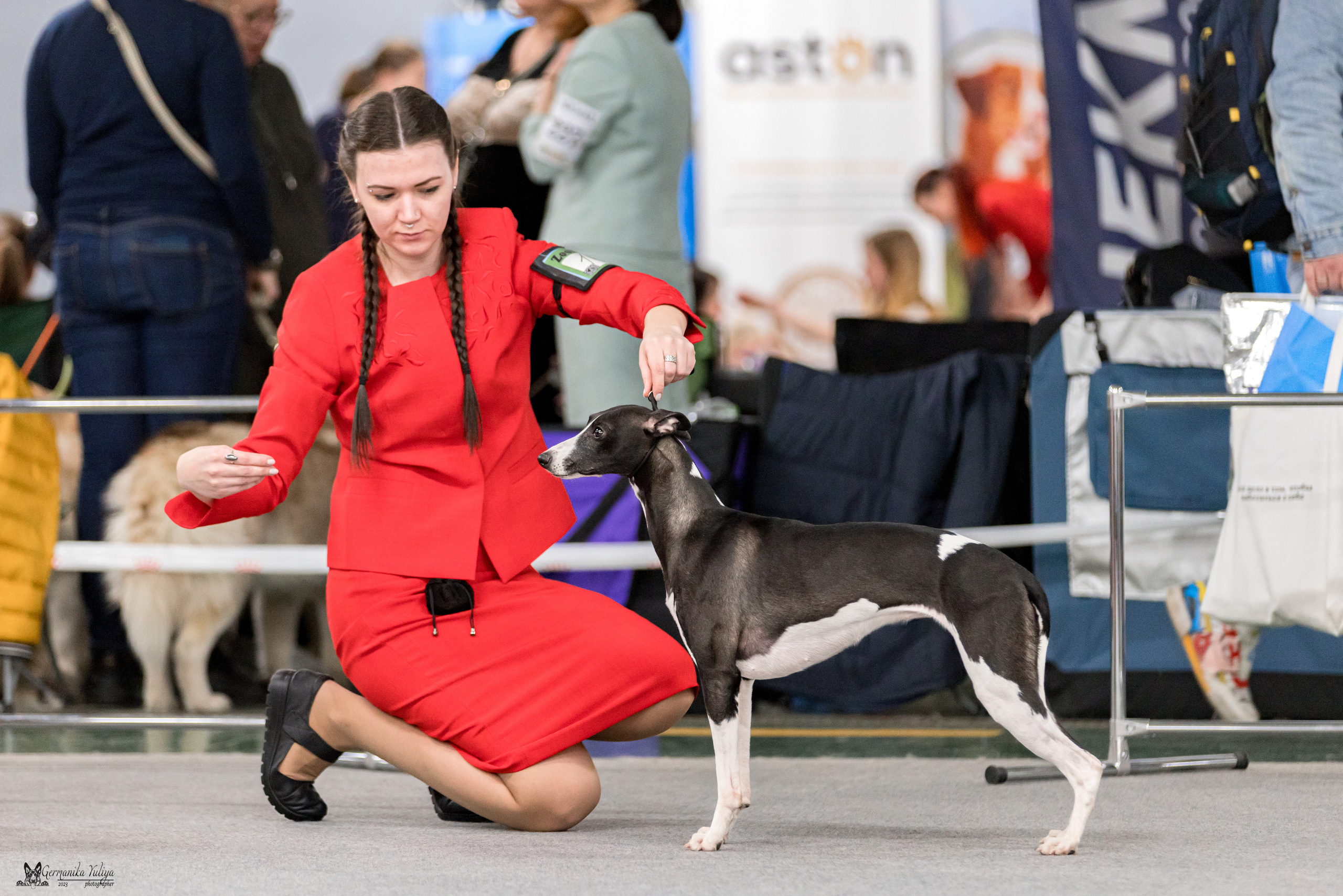 Сфера+МД 8-9.04.2023. Фотограф-анималист Юлия Германика