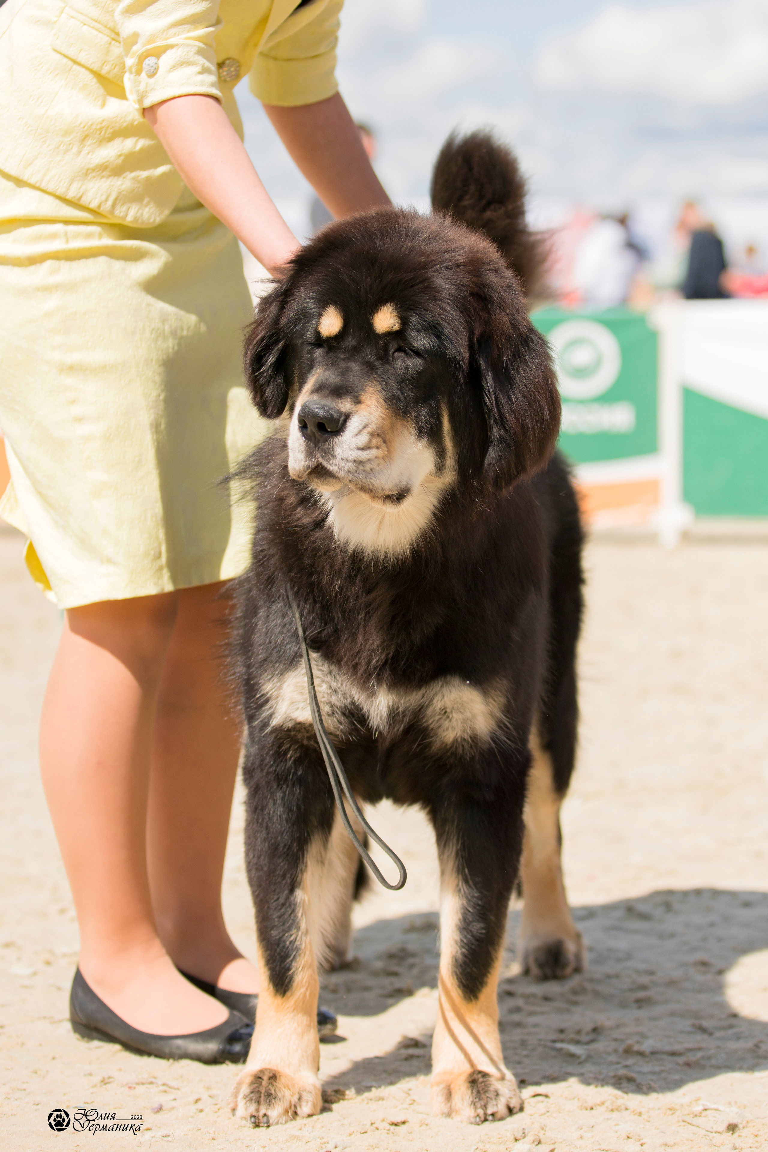Россия 10-11.06.2023. Фотограф-анималист Юлия Германика