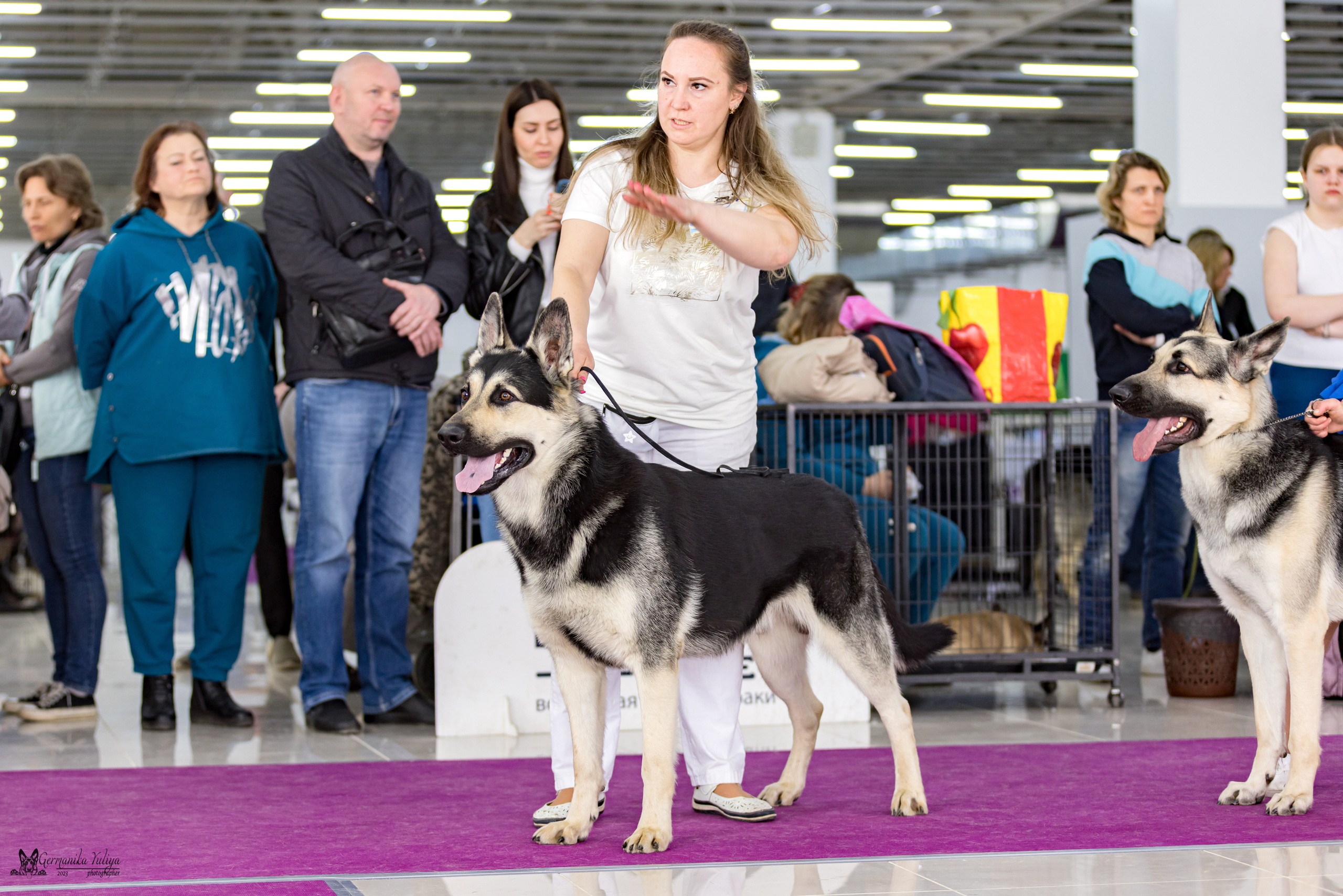 МД 15.04.2023. Фотограф-анималист Юлия Германика