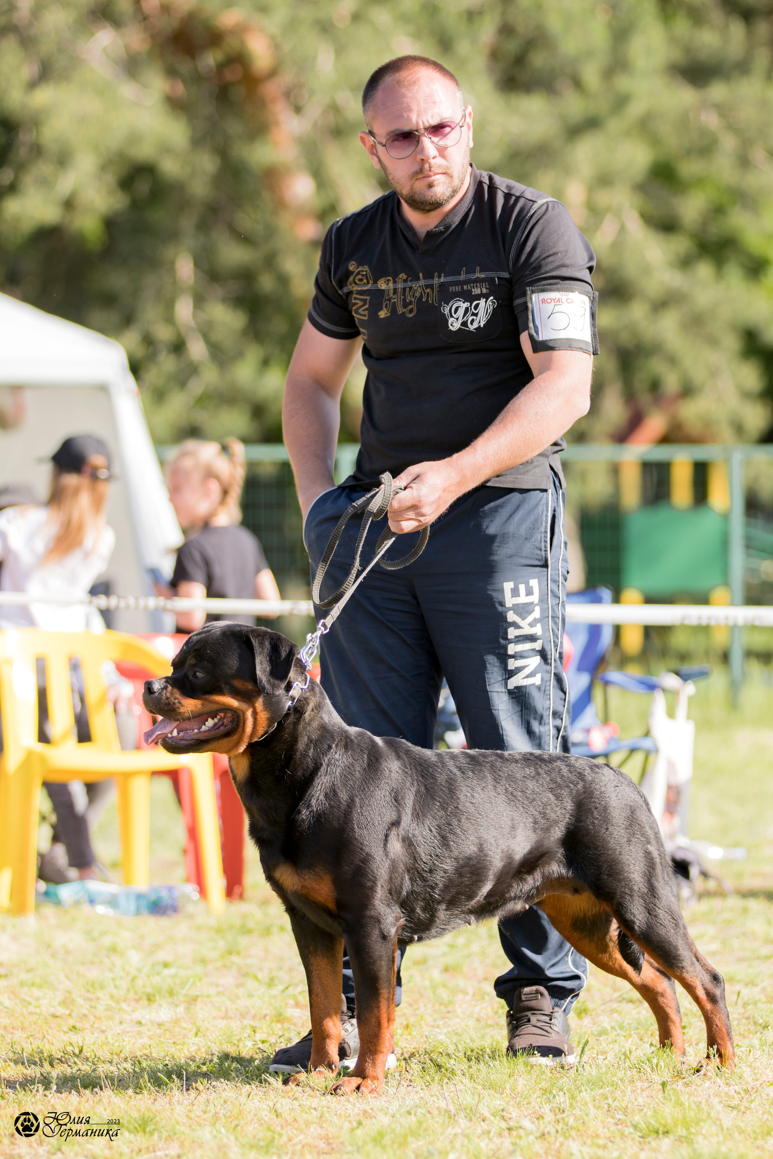 Воронеж 2хмоно ротвейлеров 3-4.06.2023. Фотограф-анималист Юлия Германика