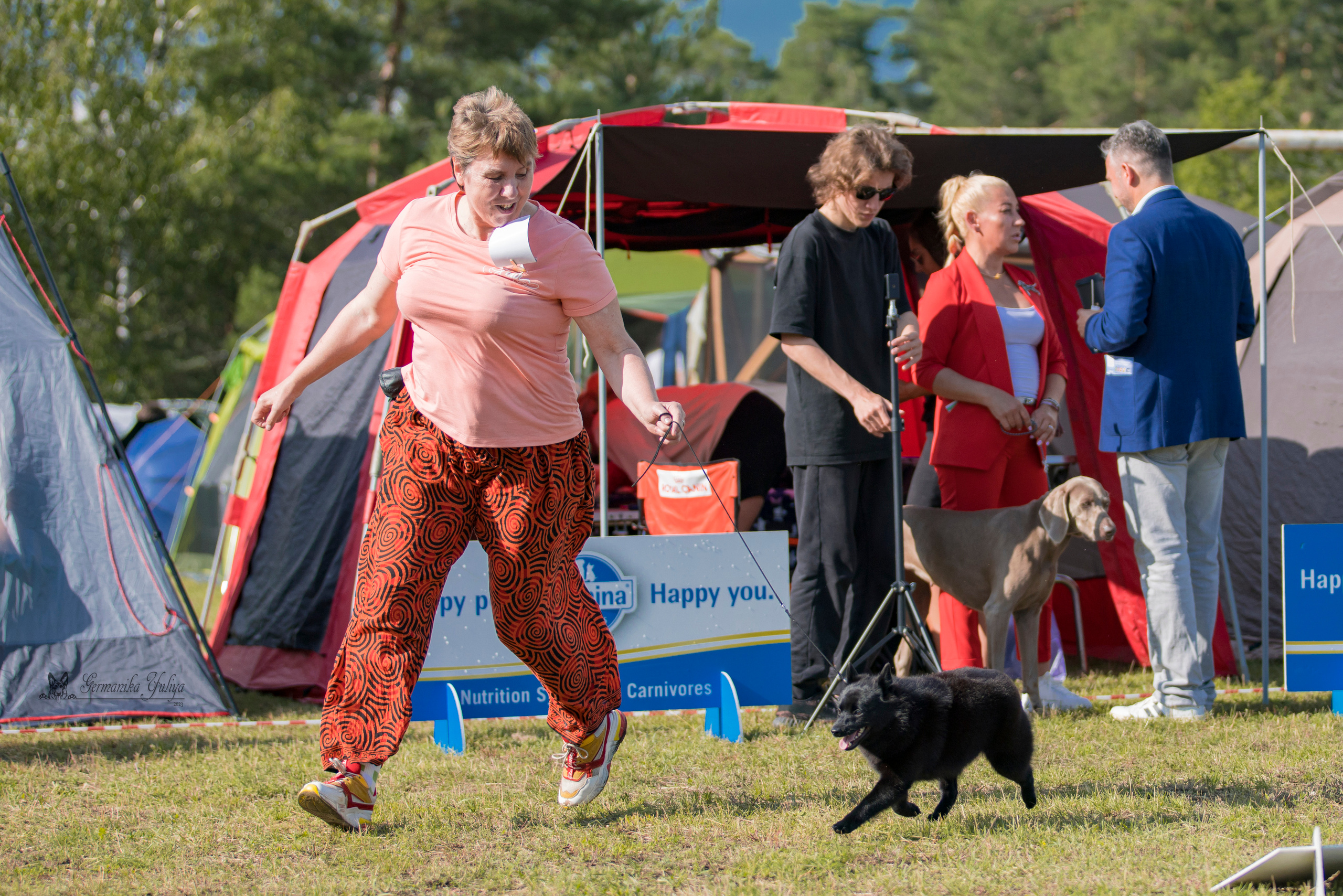 Владимир 1-2.07.2023. Фотограф-анималист Юлия Германика