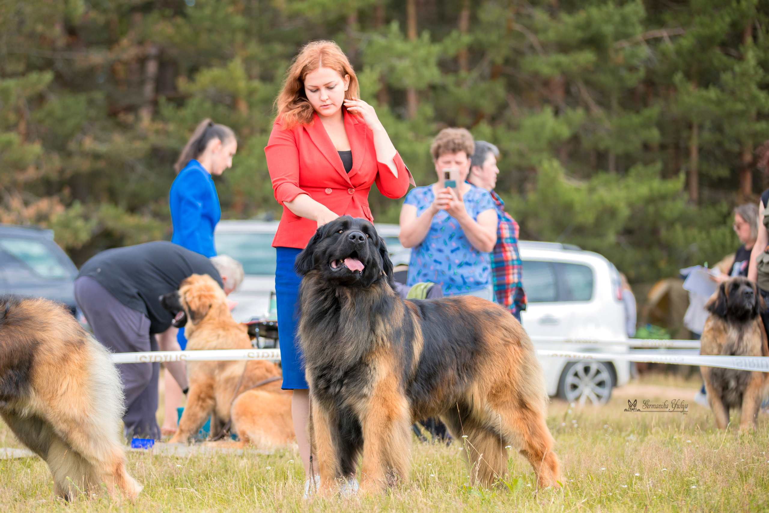 Волжанка 8.07.2023. Фотограф-анималист Юлия Германика