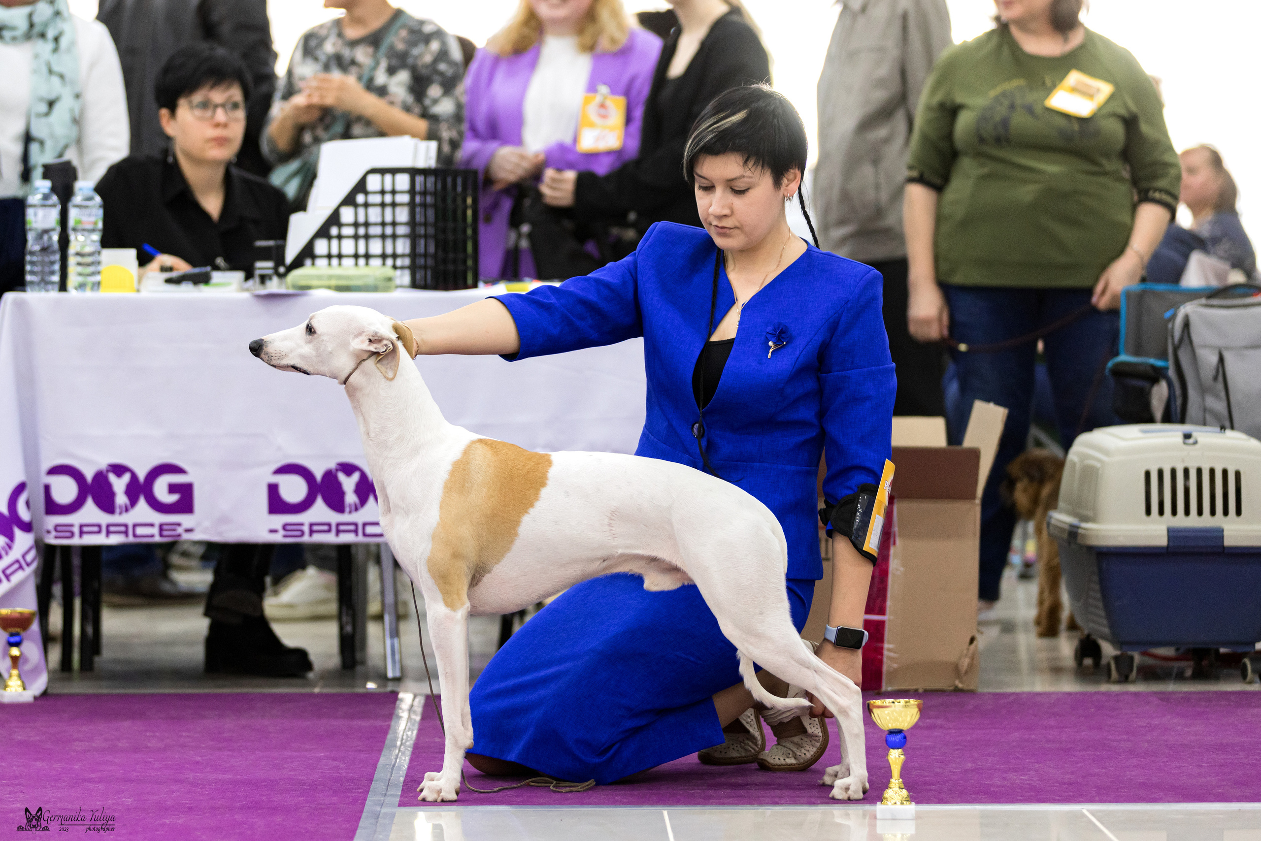 Сфера+МД 8-9.04.2023. Фотограф-анималист Юлия Германика