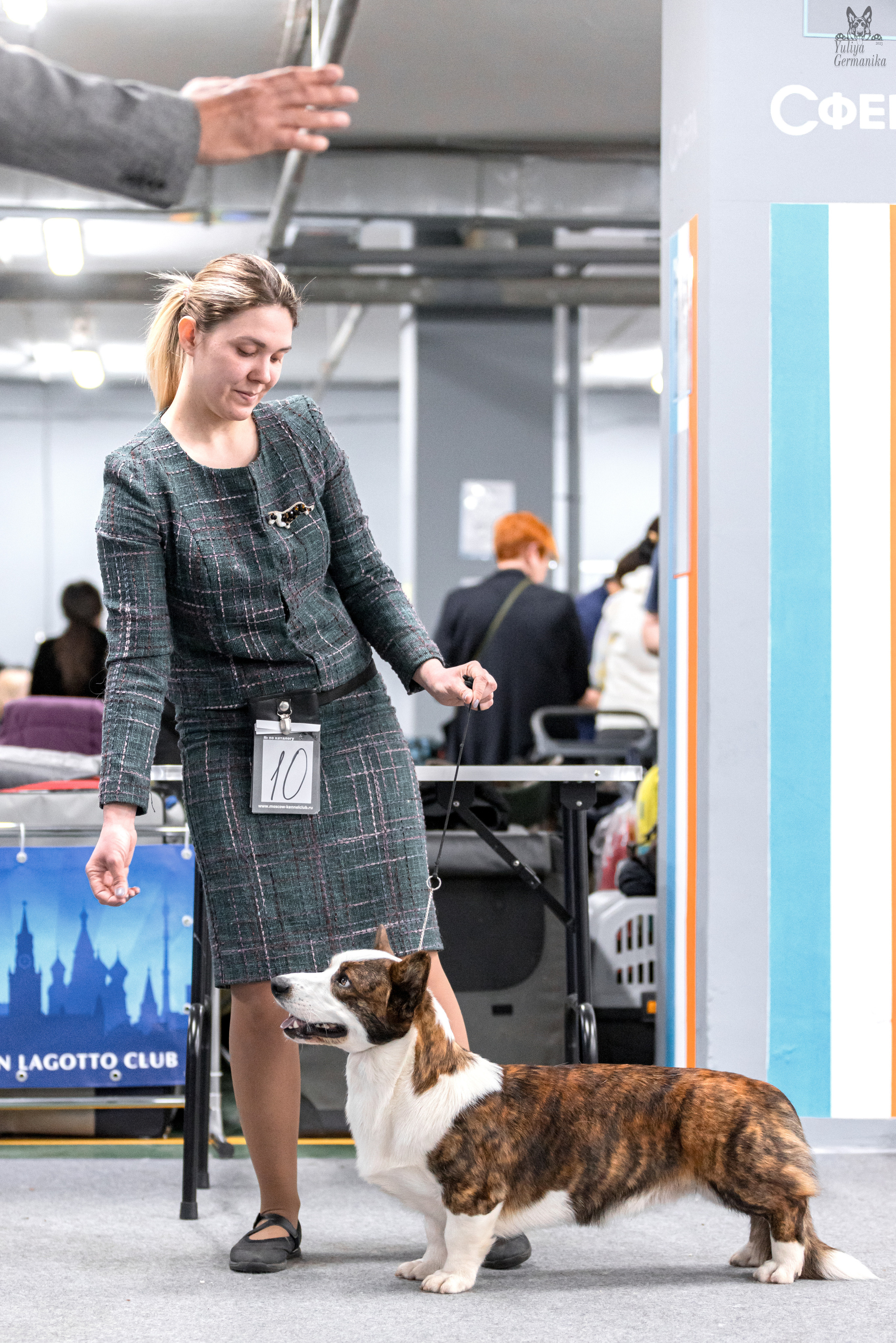 Сфера+доберманы 02.04.2023. Фотограф-анималист Юлия Германика