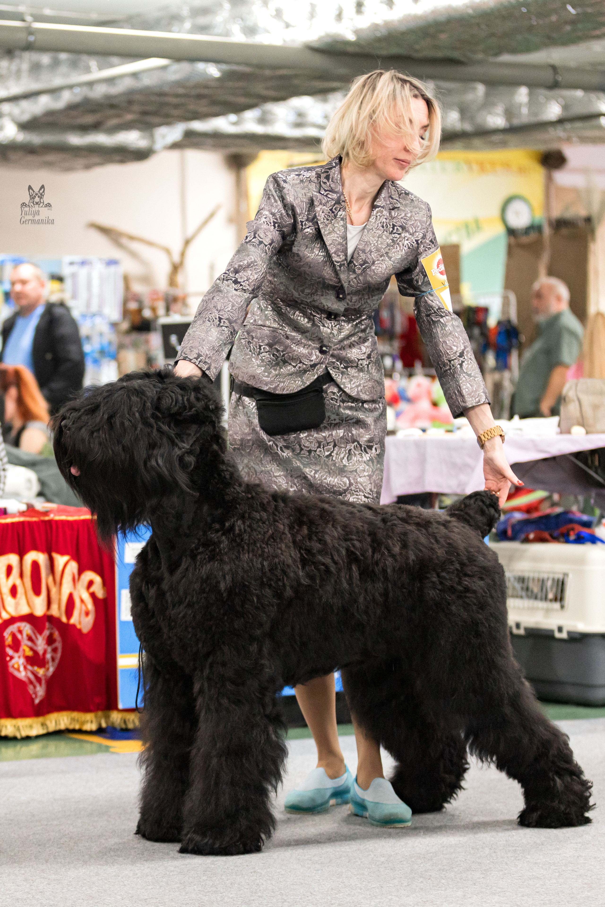 Сфера 25-26.03.2023. Фотограф-анималист Юлия Германика