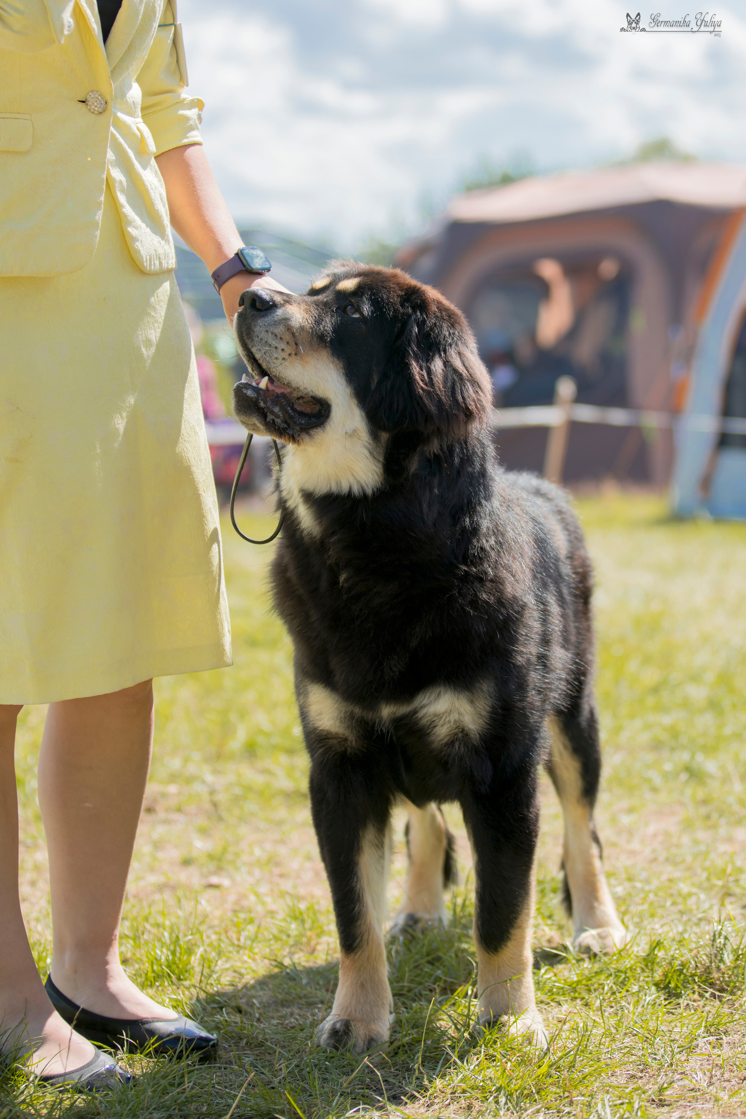 Волжанка 8.07.2023. Фотограф-анималист Юлия Германика