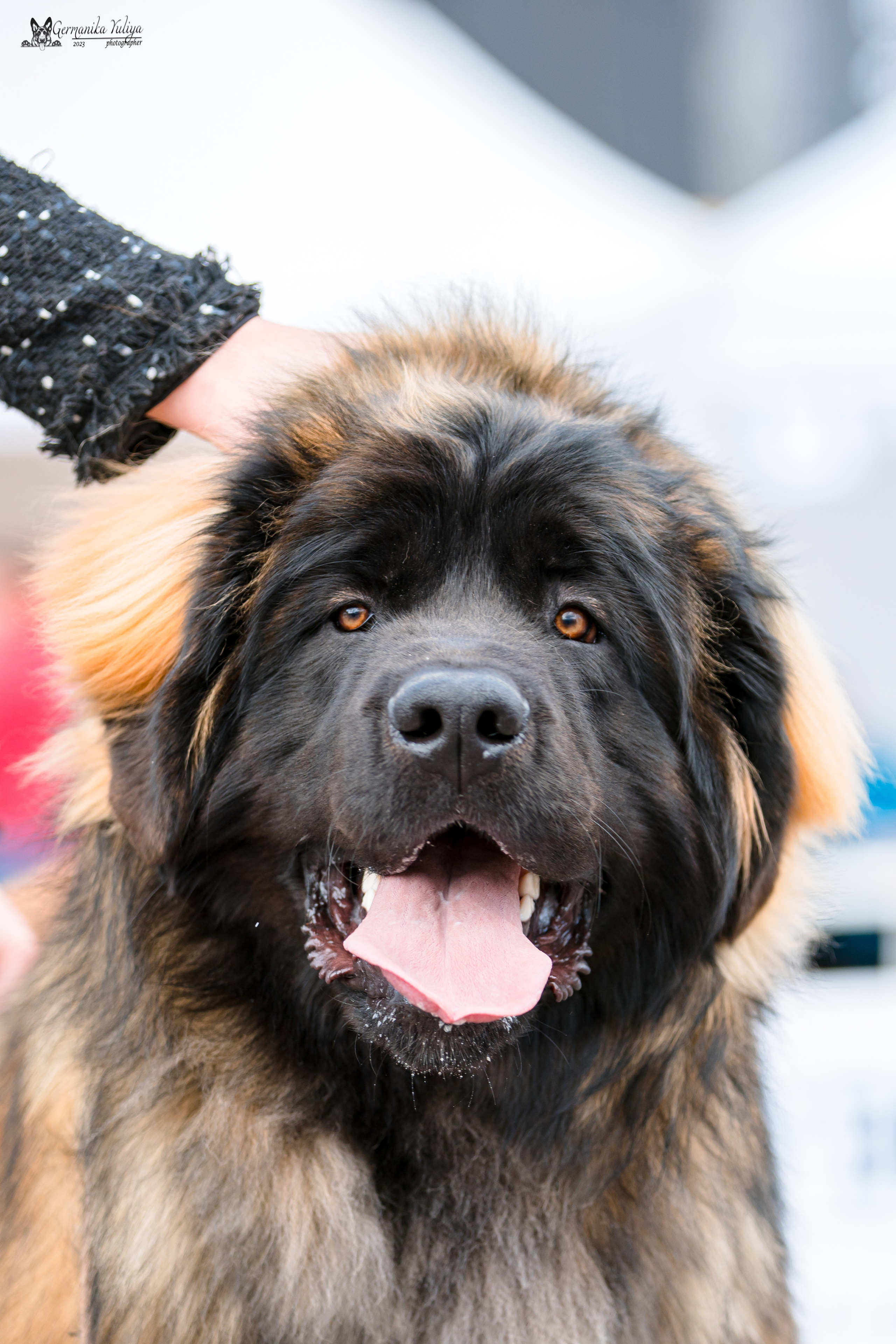 Измайлово 21.05.2023. Фотограф-анималист Юлия Германика