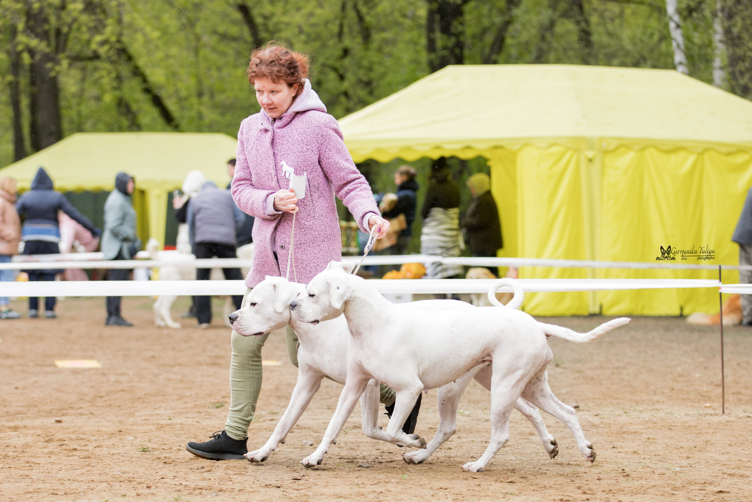 Сокольники 1.05.2023. Фотограф-анималист Юлия Германика