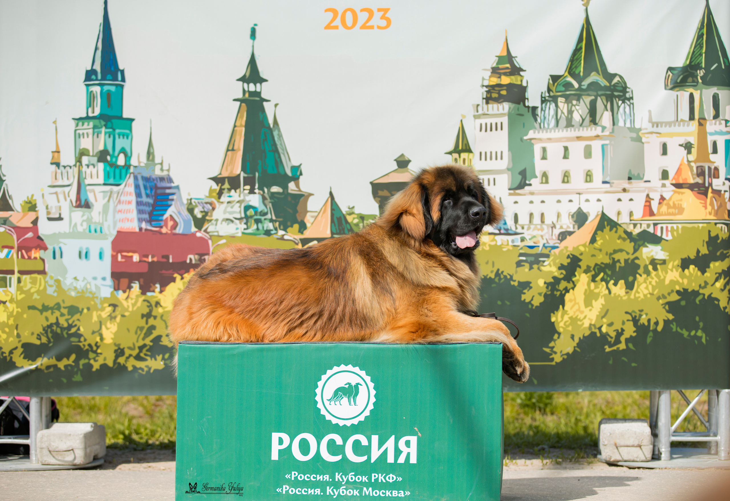 Россия 10-11.06.2023. Фотограф-анималист Юлия Германика