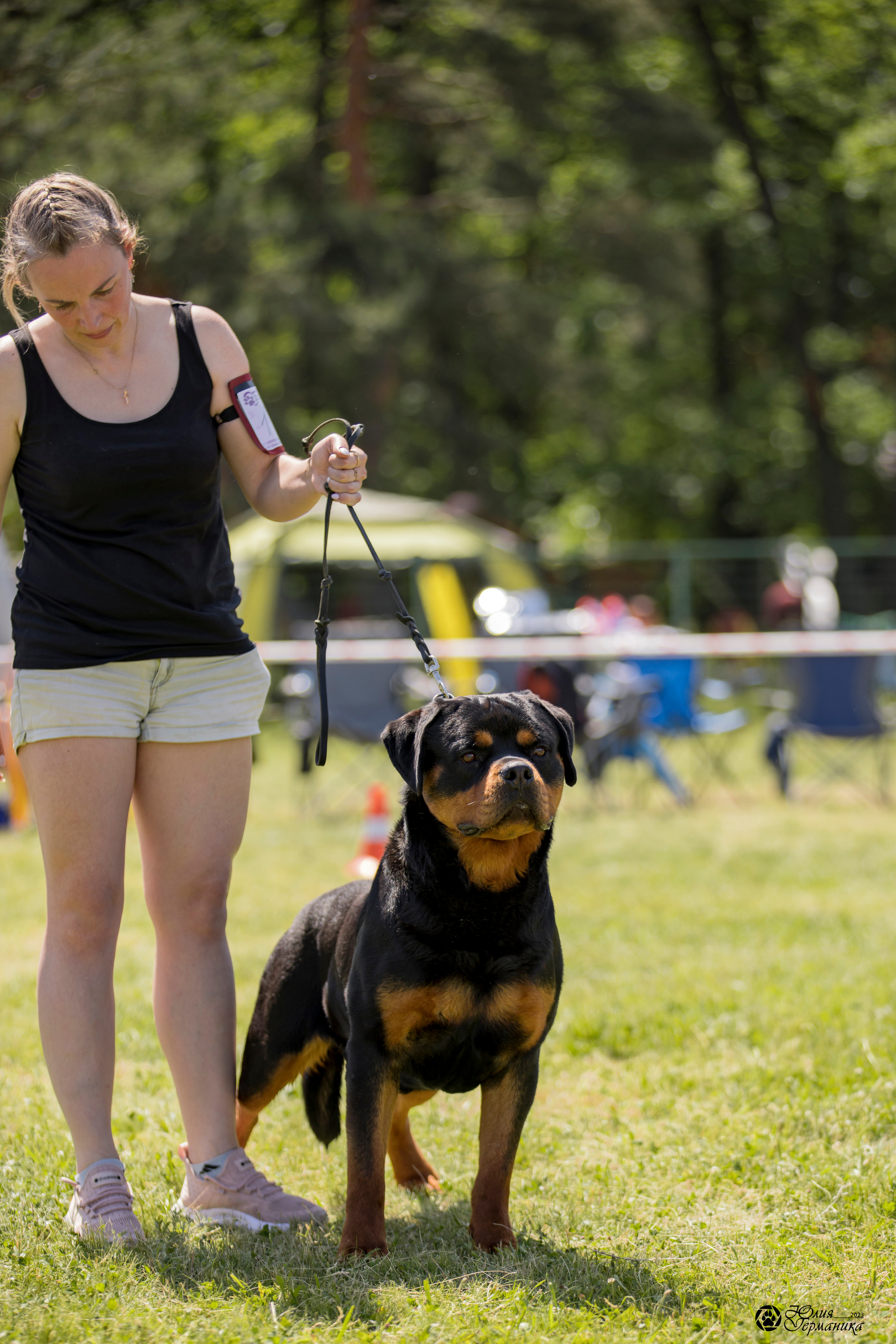 Воронеж 2хмоно ротвейлеров 3-4.06.2023. Фотограф-анималист Юлия Германика