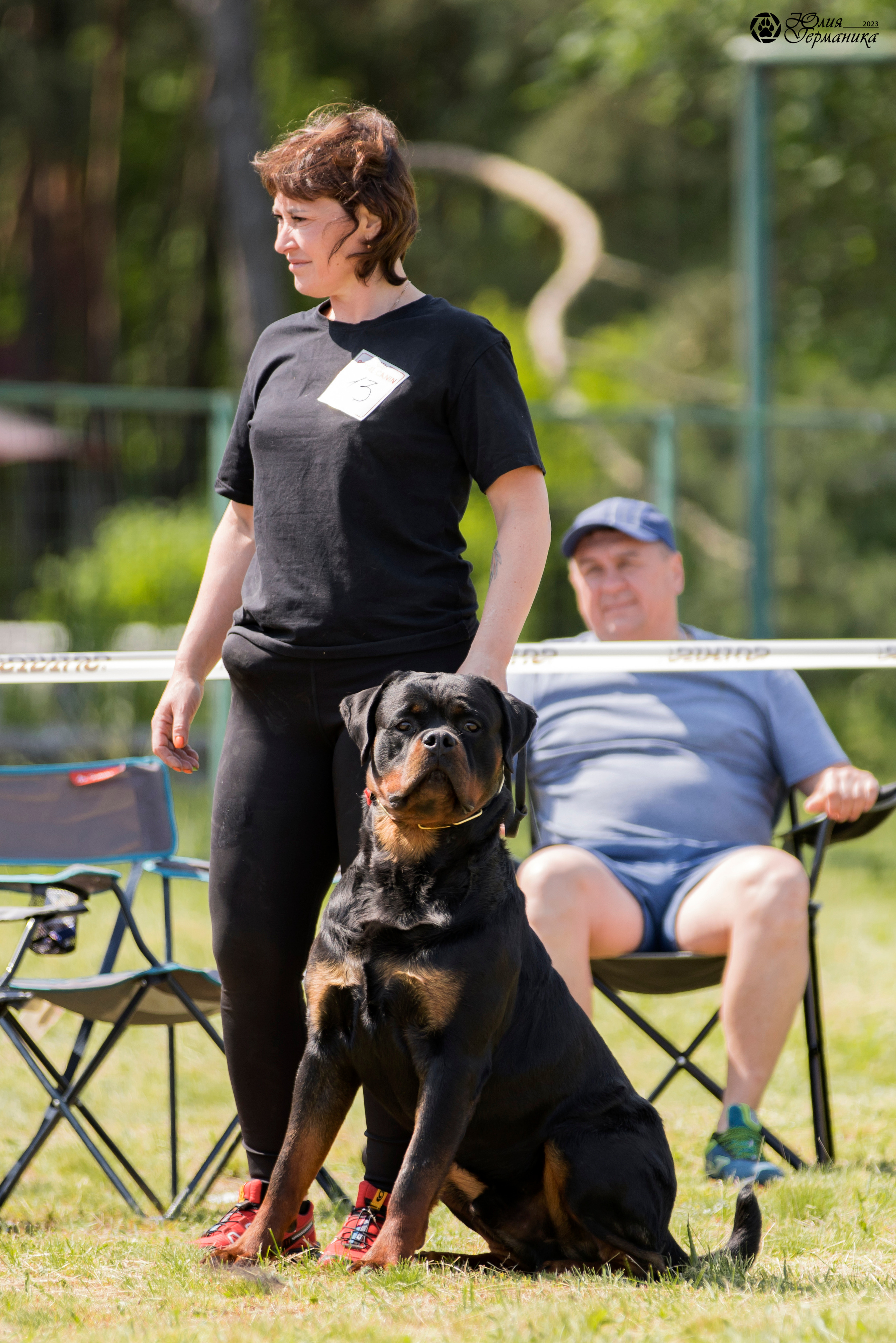 Воронеж 2хмоно ротвейлеров 3-4.06.2023. Фотограф-анималист Юлия Германика