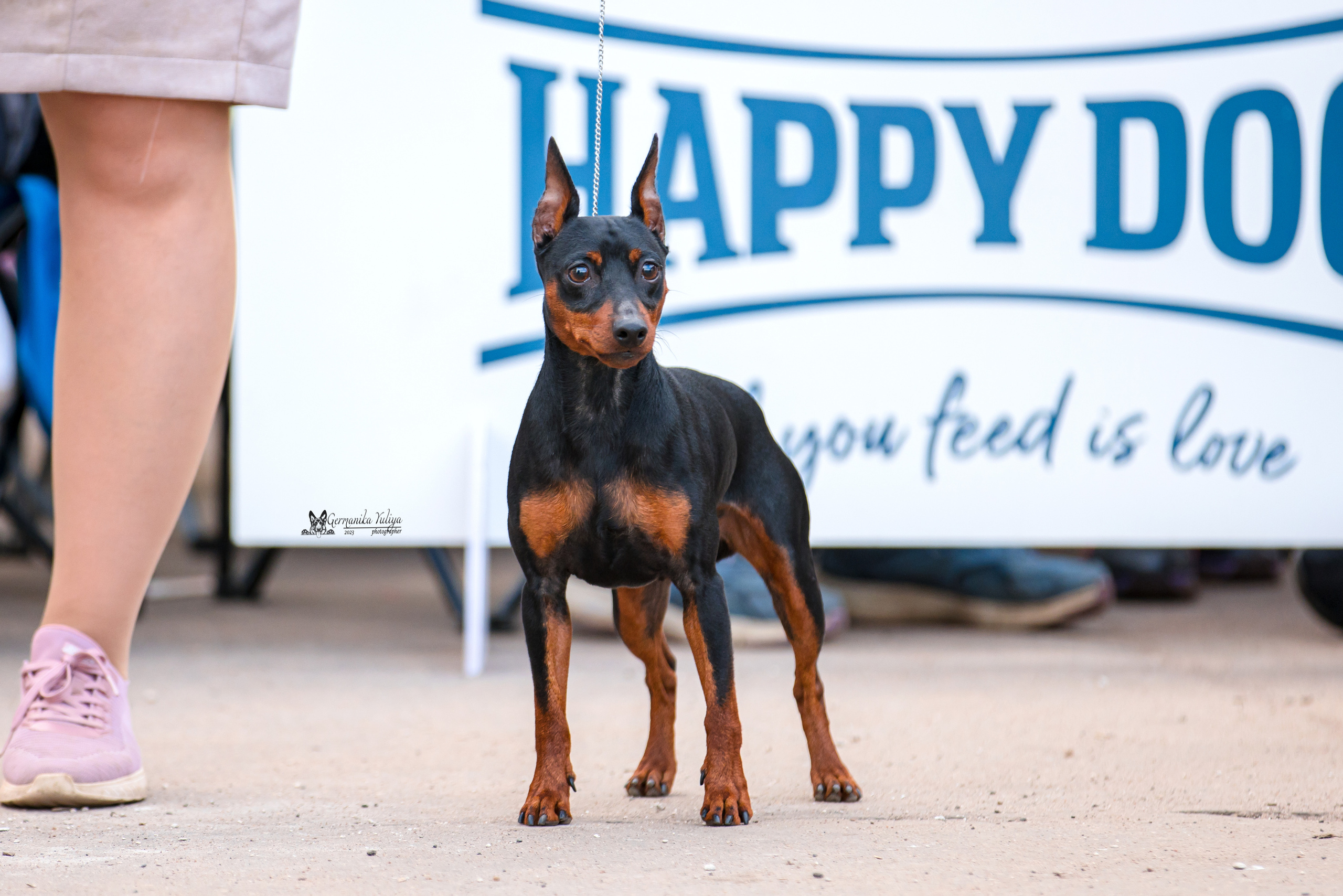 Измайлово 21.05.2023. Фотограф-анималист Юлия Германика