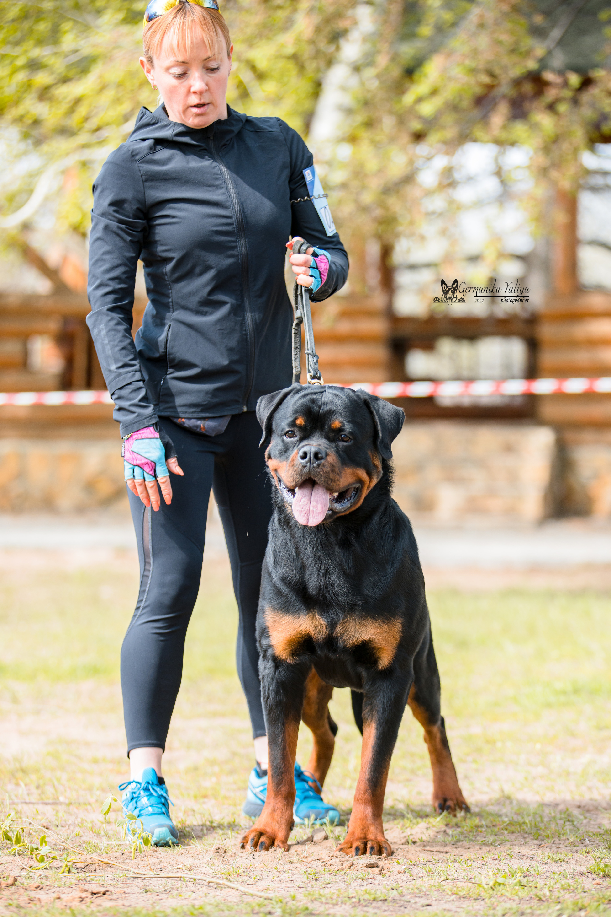 Саратов 2хмоно ротвейлеров 22-23.04.2023. Фотограф-анималист Юлия Германика