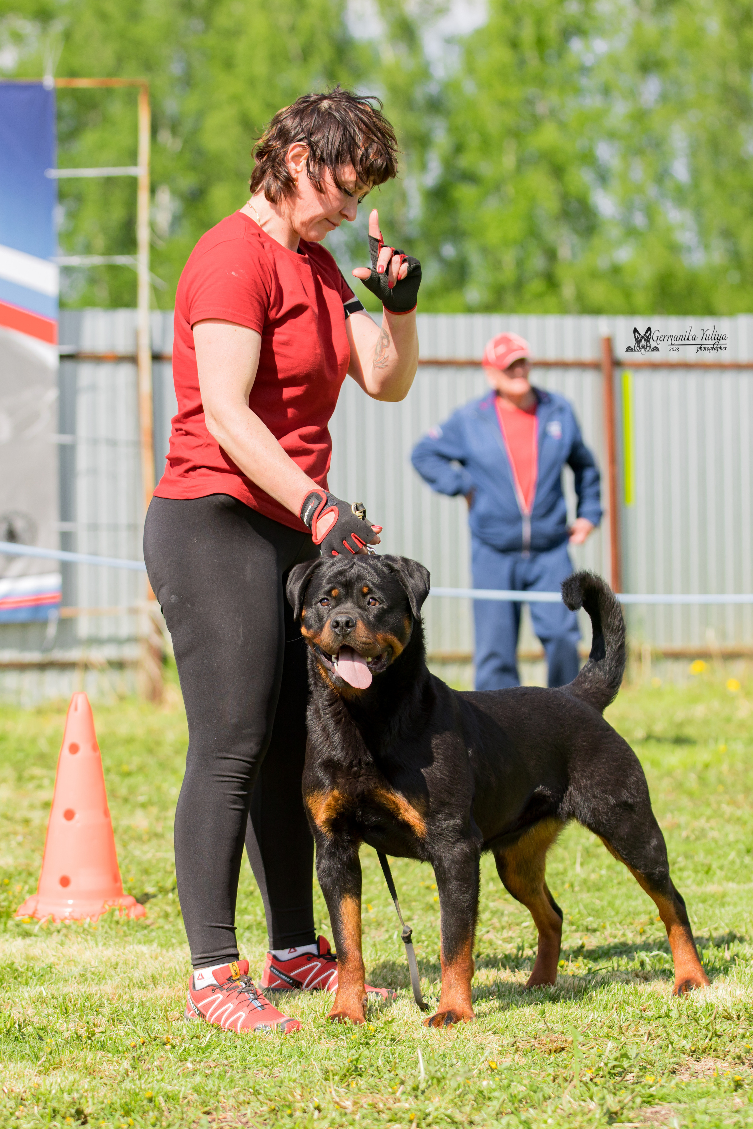 Нижний Новгород моно ротвейлеров 13.05.2023. Фотограф-анималист Юлия Германика