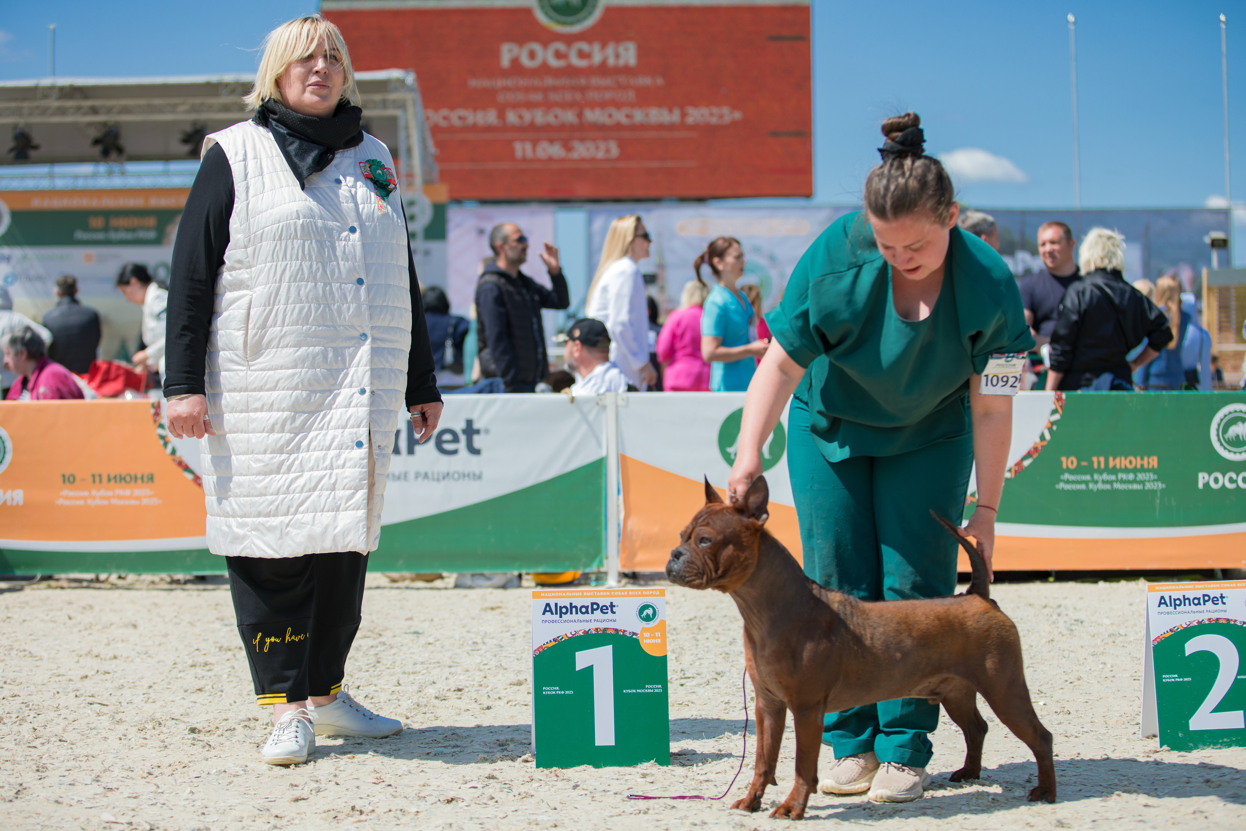 Россия 10-11.06.2023. Фотограф-анималист Юлия Германика