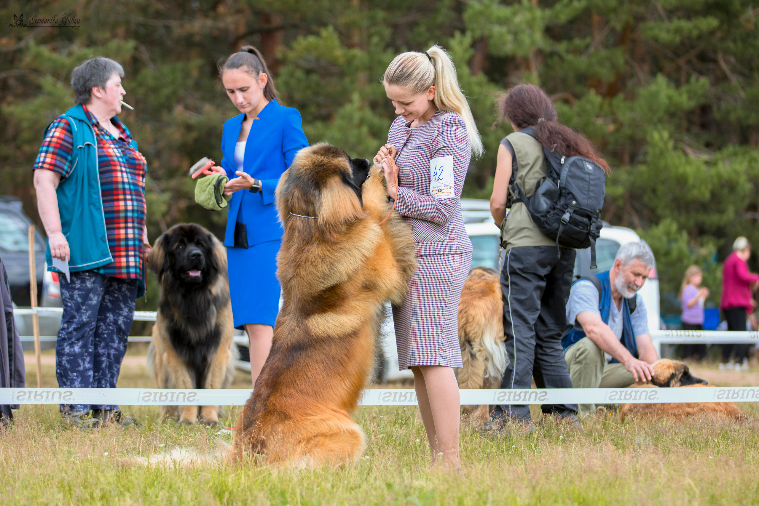 Волжанка 8.07.2023. Фотограф-анималист Юлия Германика